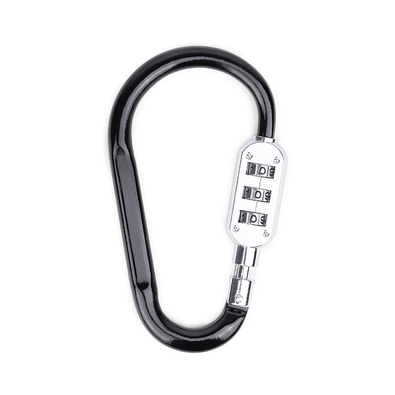 Picture of SecureLink Large Carabiner Keychain