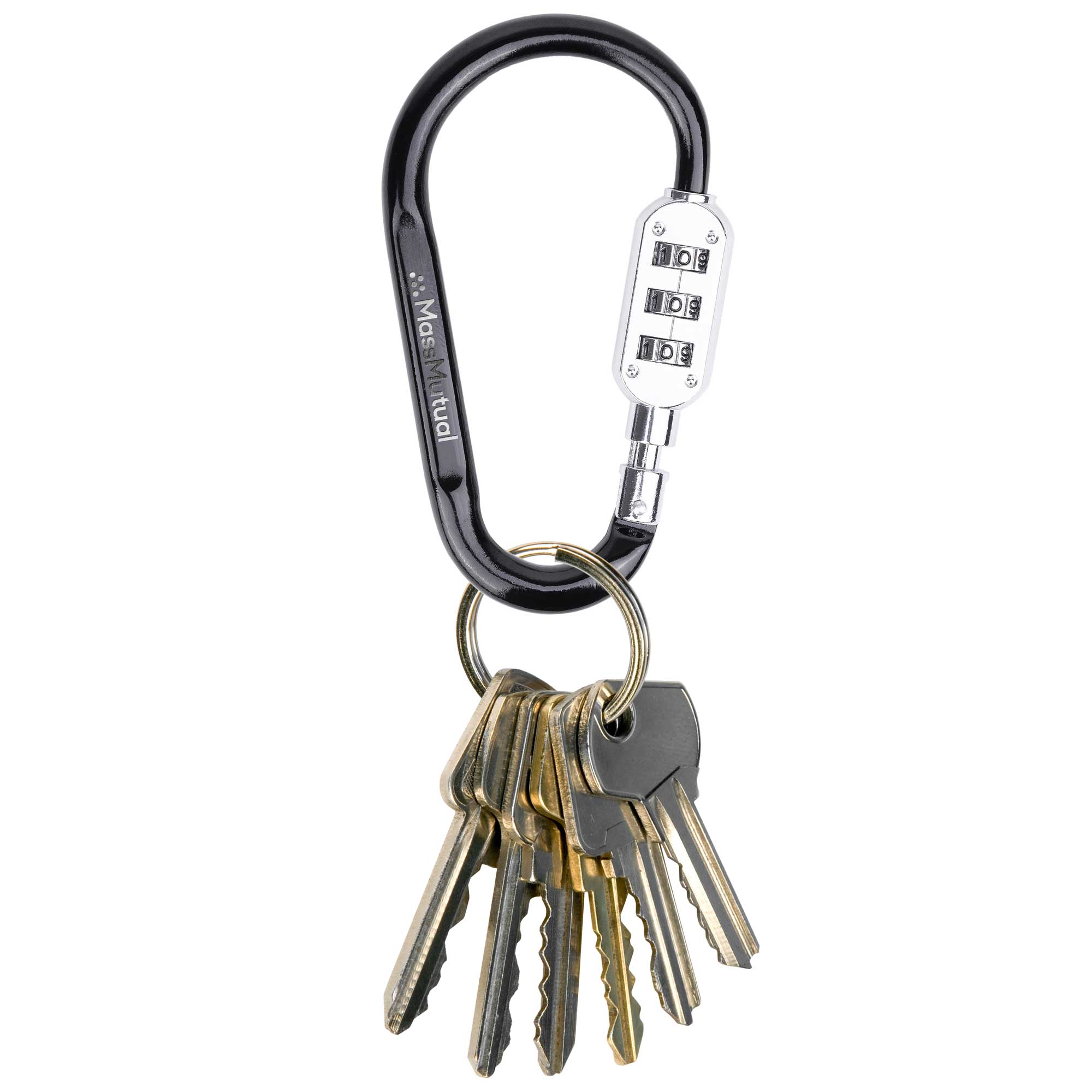 Picture of SecureLink Large Carabiner Keychain