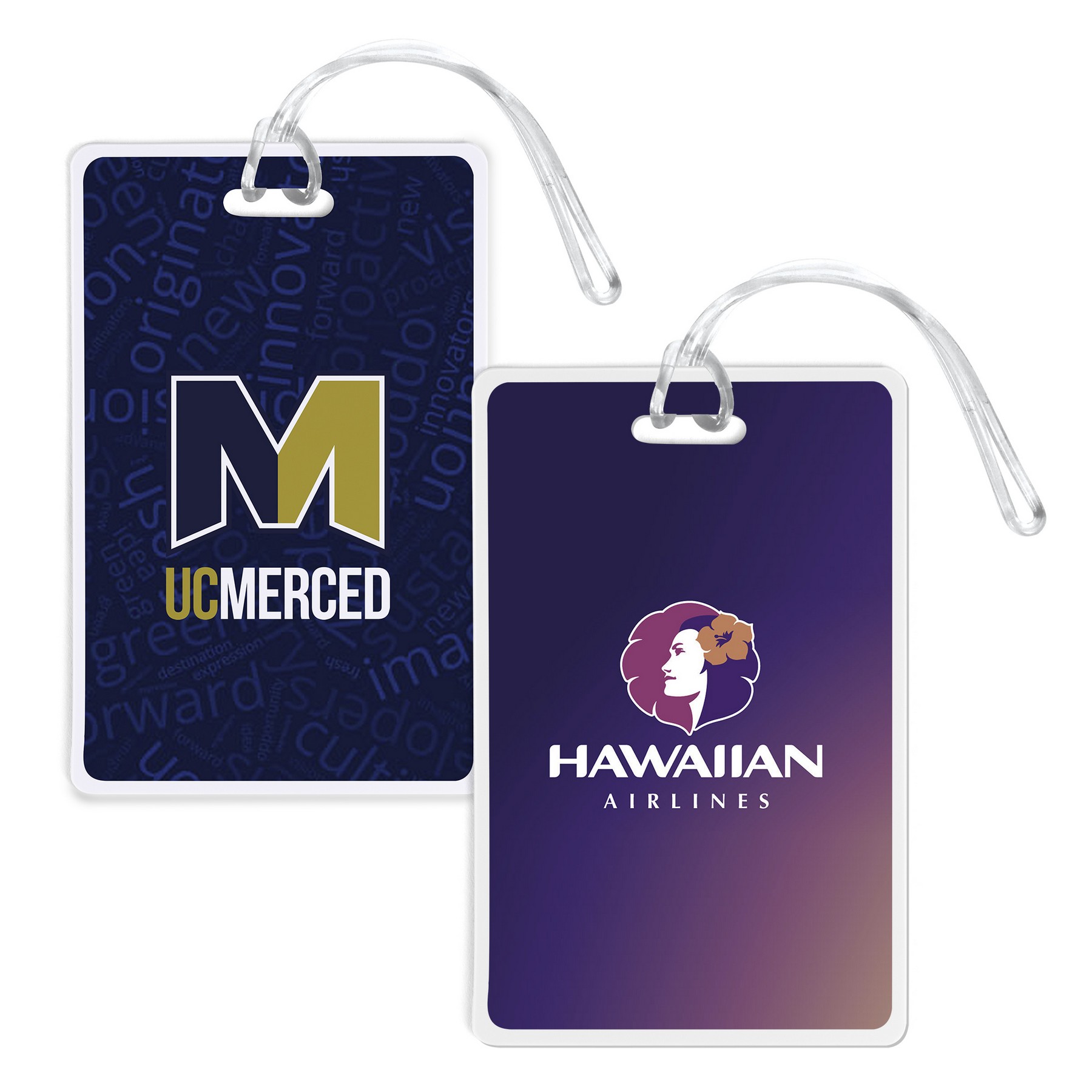 Picture of Imprinted Mini Luggage Tag