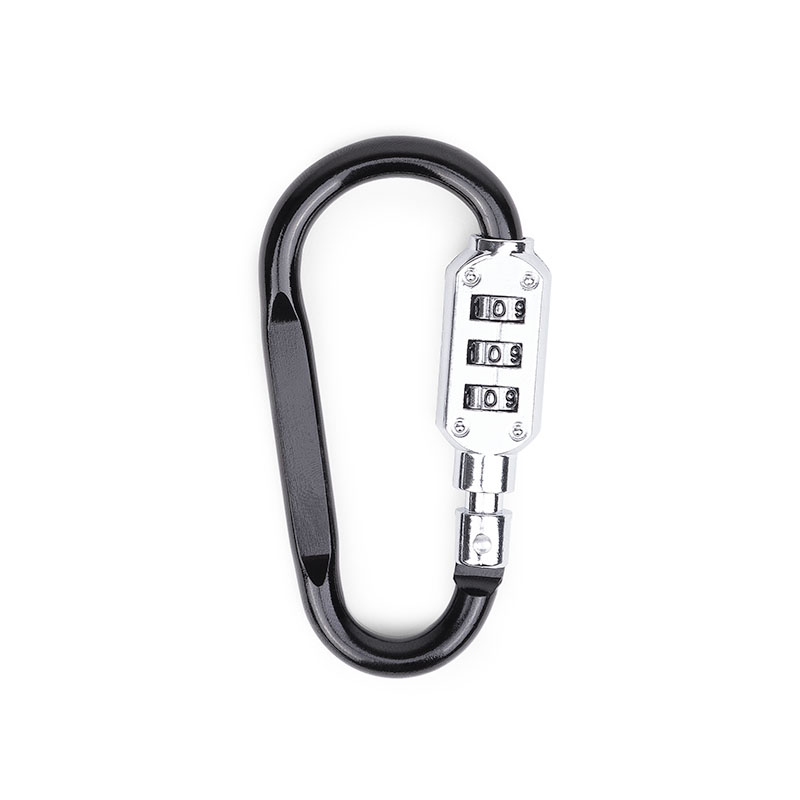 Picture of SecureLink Mini Carabiner Keychain