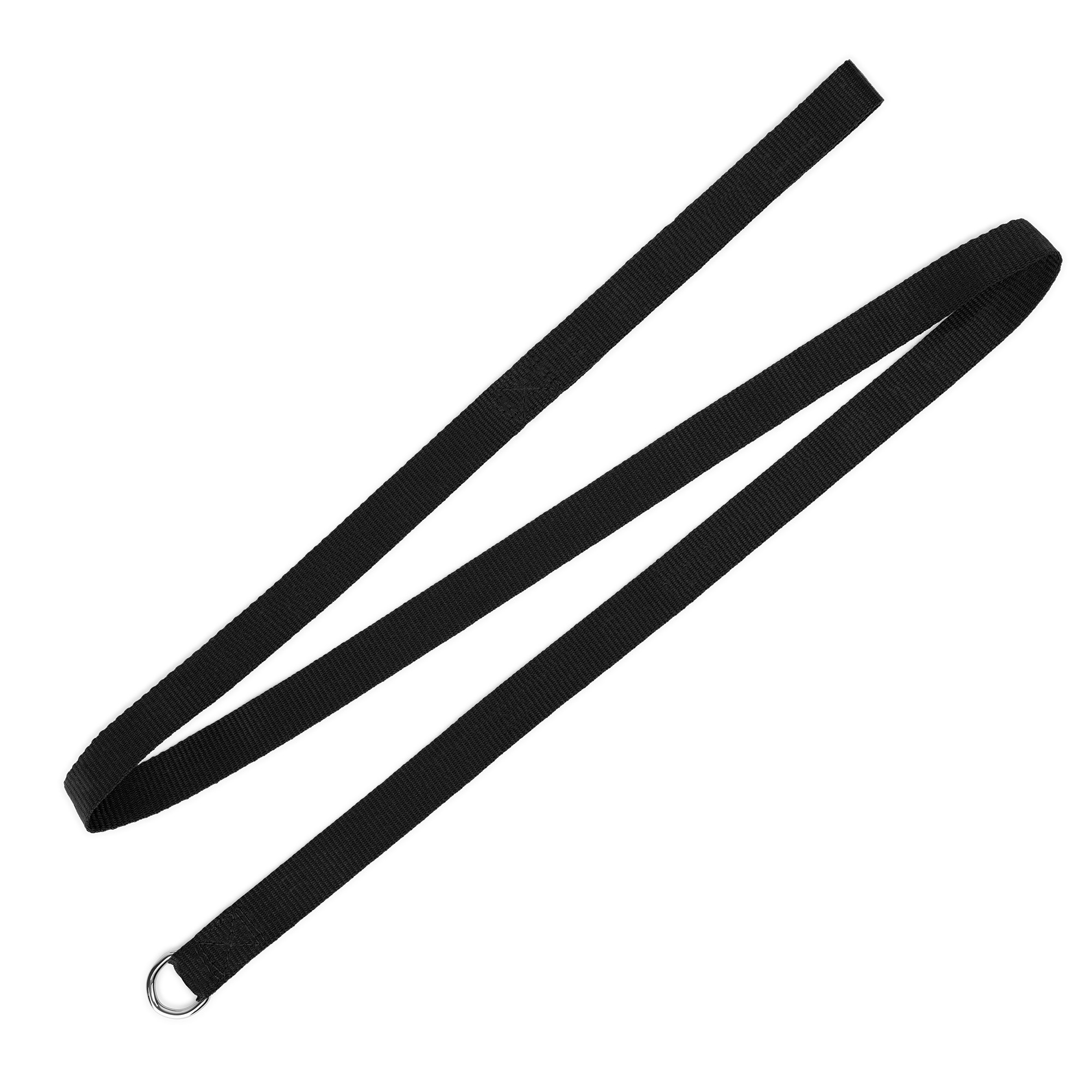 Picture of Dog Leash (QuickShip) 5-6 Weeks