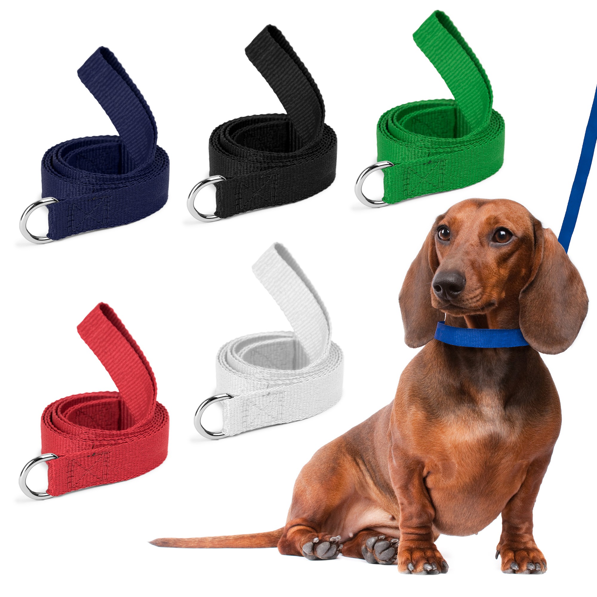 Picture of Dog Leash (QuickShip) 5-6 Weeks