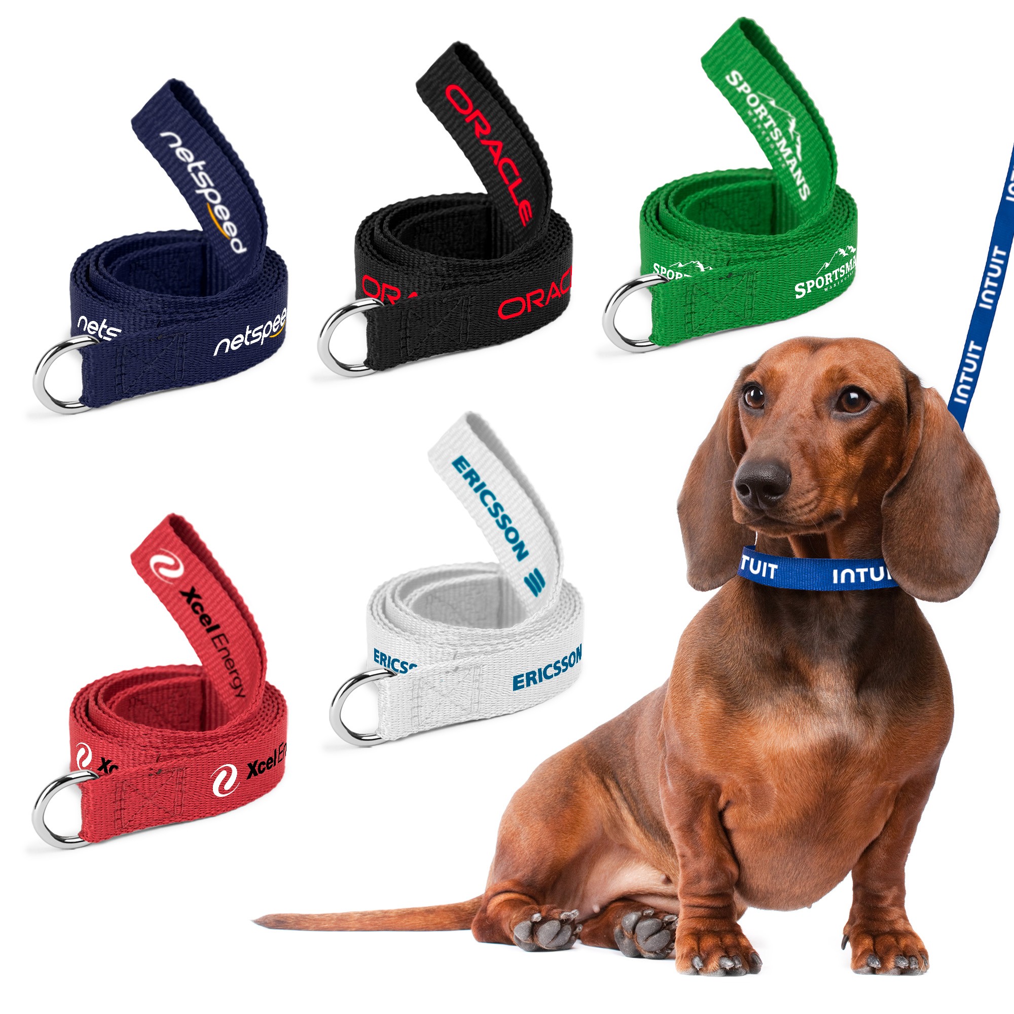 Picture of Dog Leash (QuickShip) 5-6 Weeks