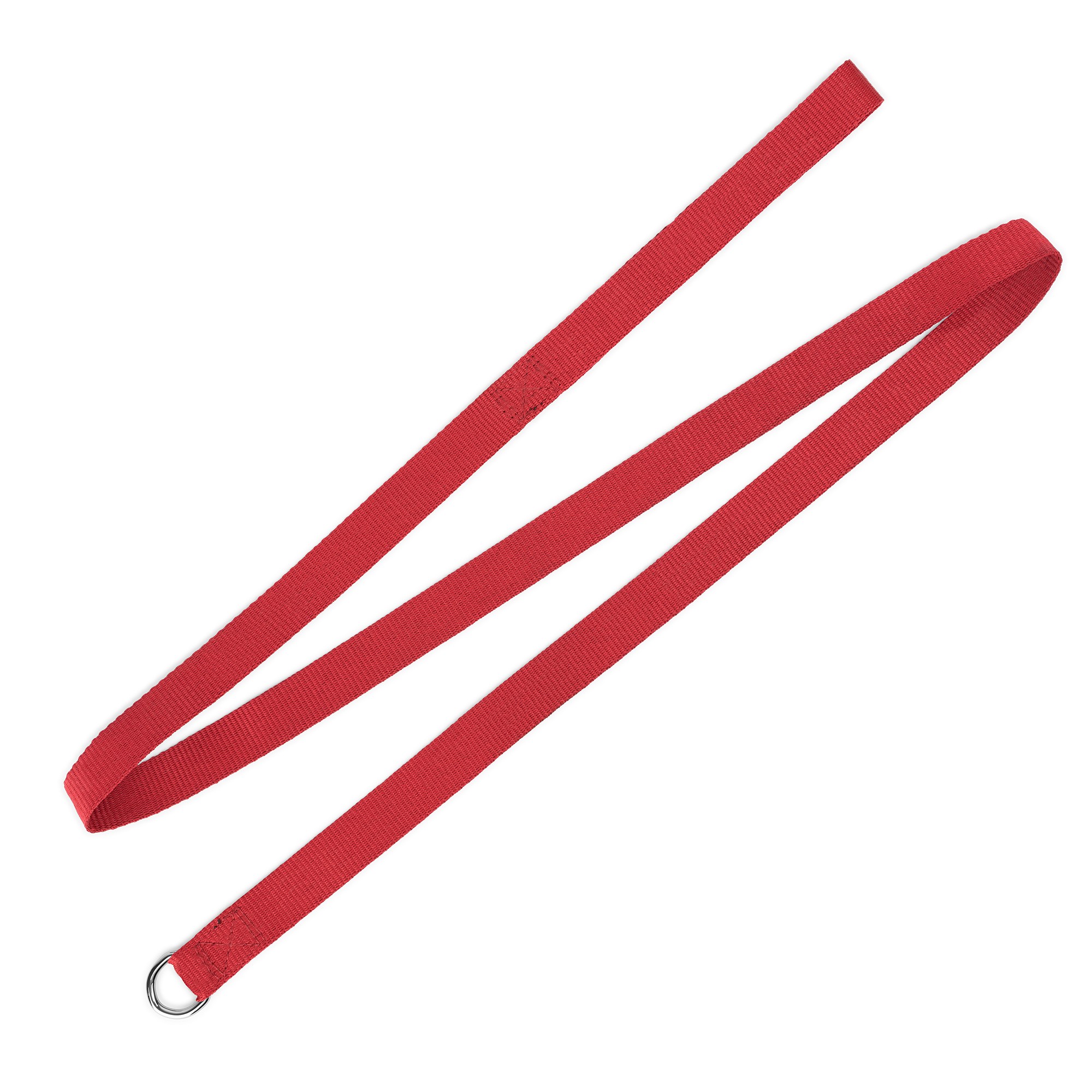 Picture of Dog Leash (QuickShip) 5-6 Weeks