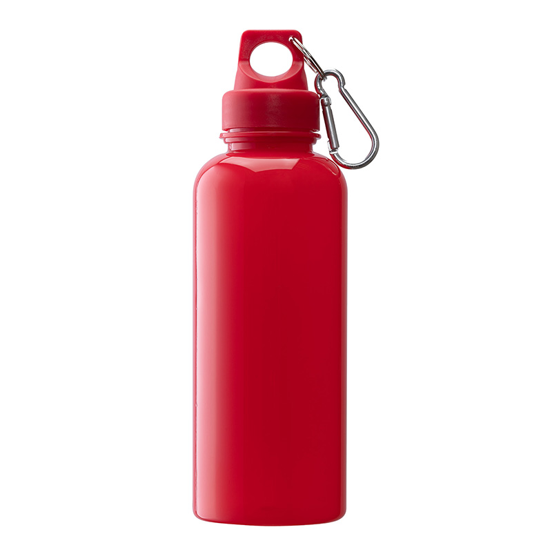 Picture of Brio 20 oz. PS Water Bottle w/ Carabiner