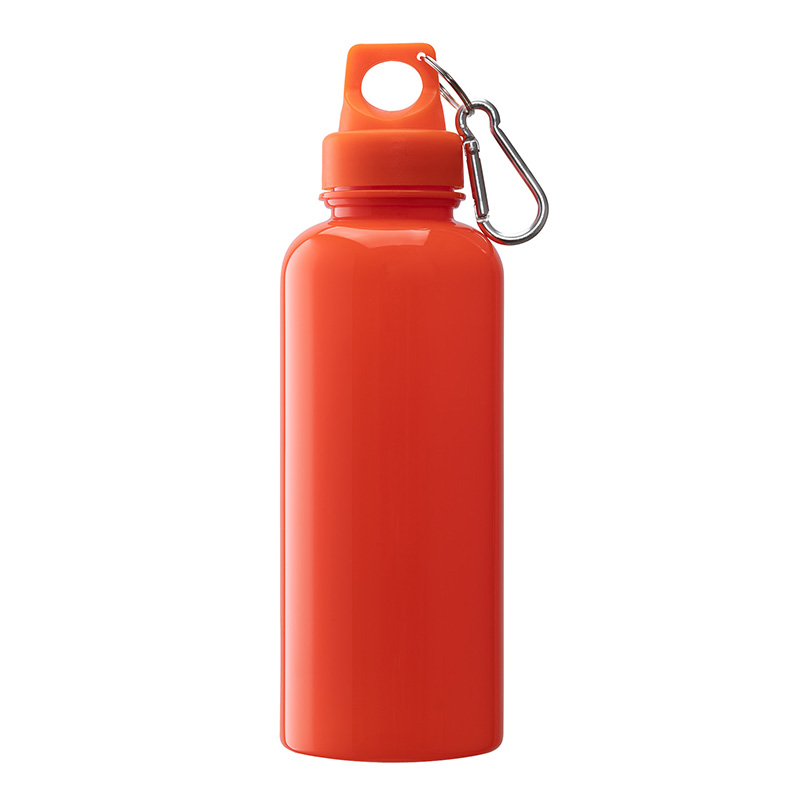 Picture of Brio 20 oz. PS Water Bottle w/ Carabiner