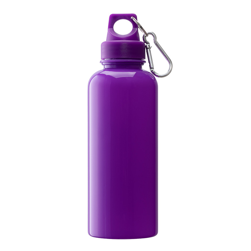 Picture of Brio 20 oz. PS Water Bottle w/ Carabiner