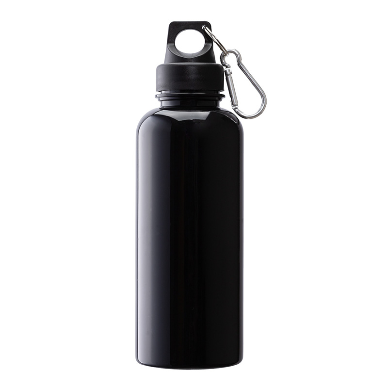 Picture of Brio 20 oz. PS Water Bottle w/ Carabiner