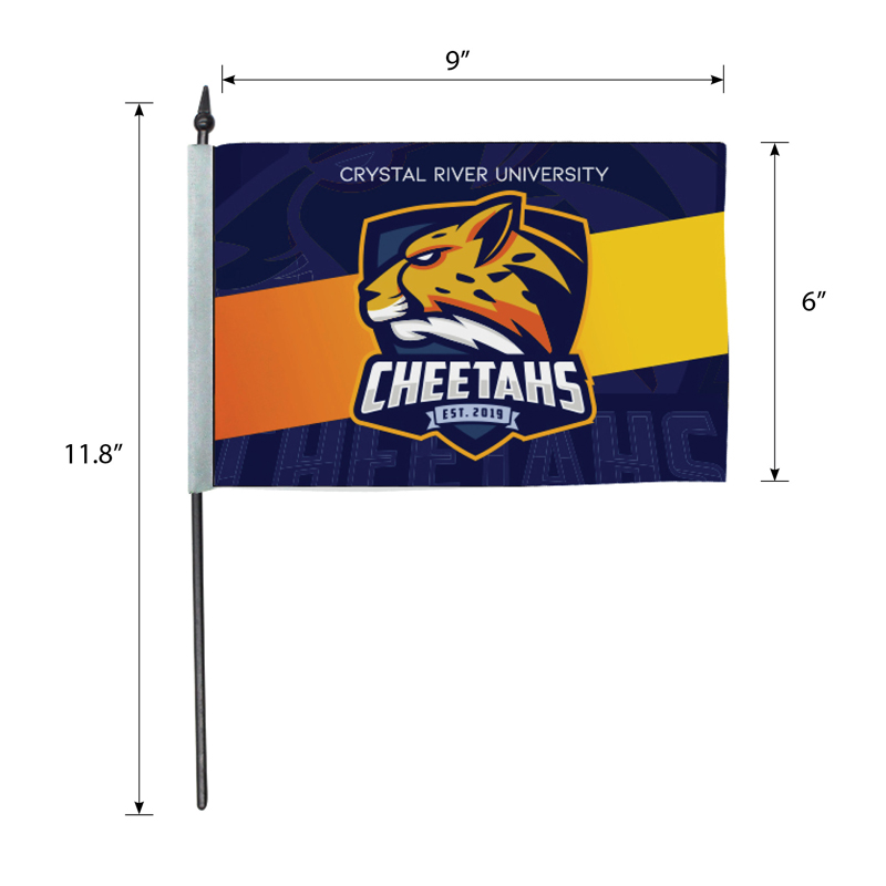 Picture of DisplaySplash 9" x 6" Hand Flag