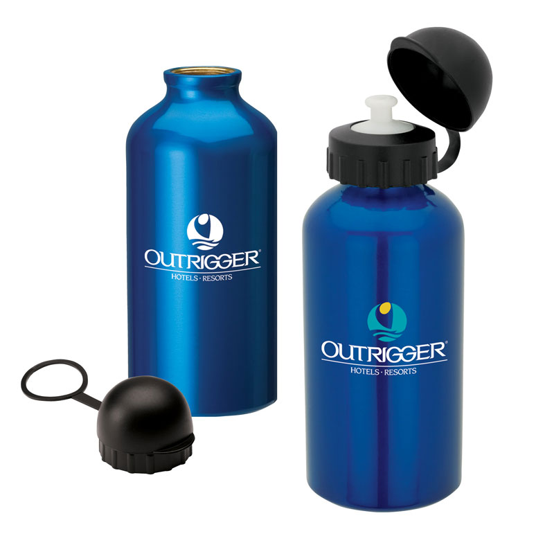 Picture of 16.9 oz. Domed Flask
