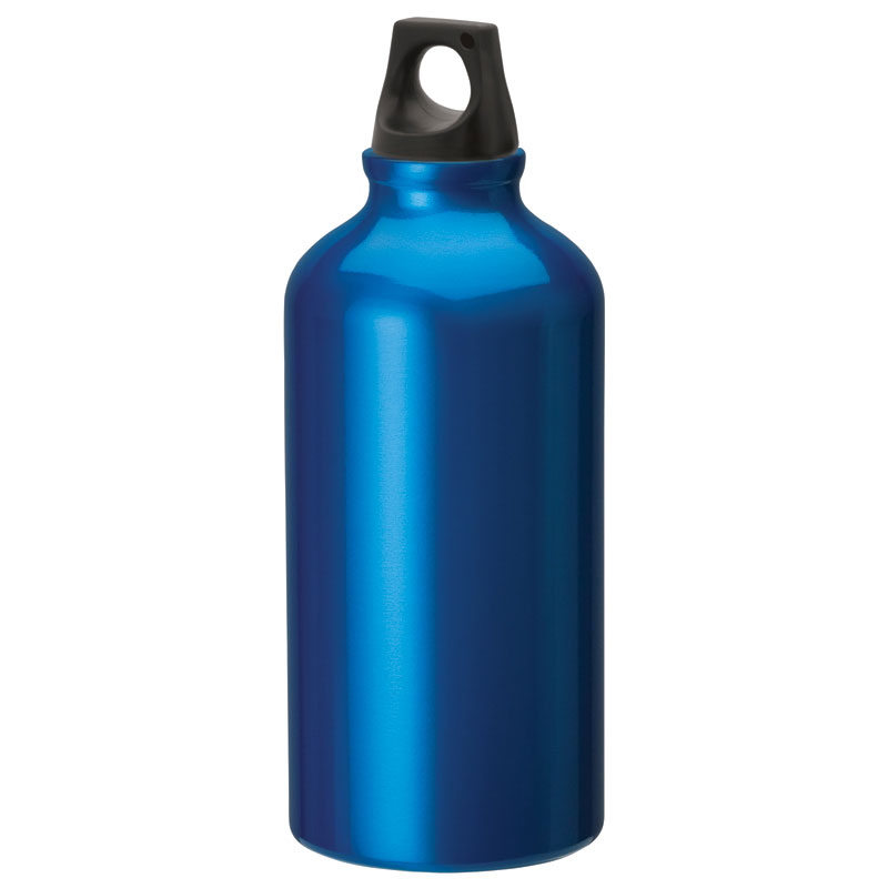 Picture of Sonia 16.9 oz. Flask with Twist Top