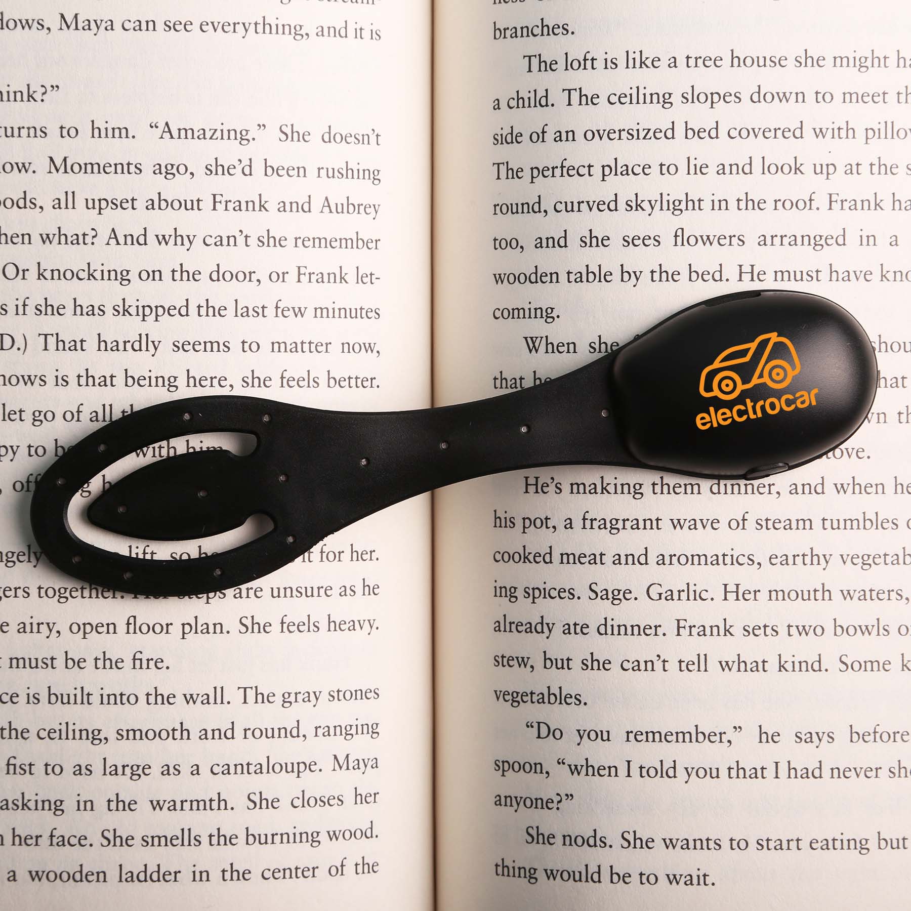 Picture of Scholar Book Light