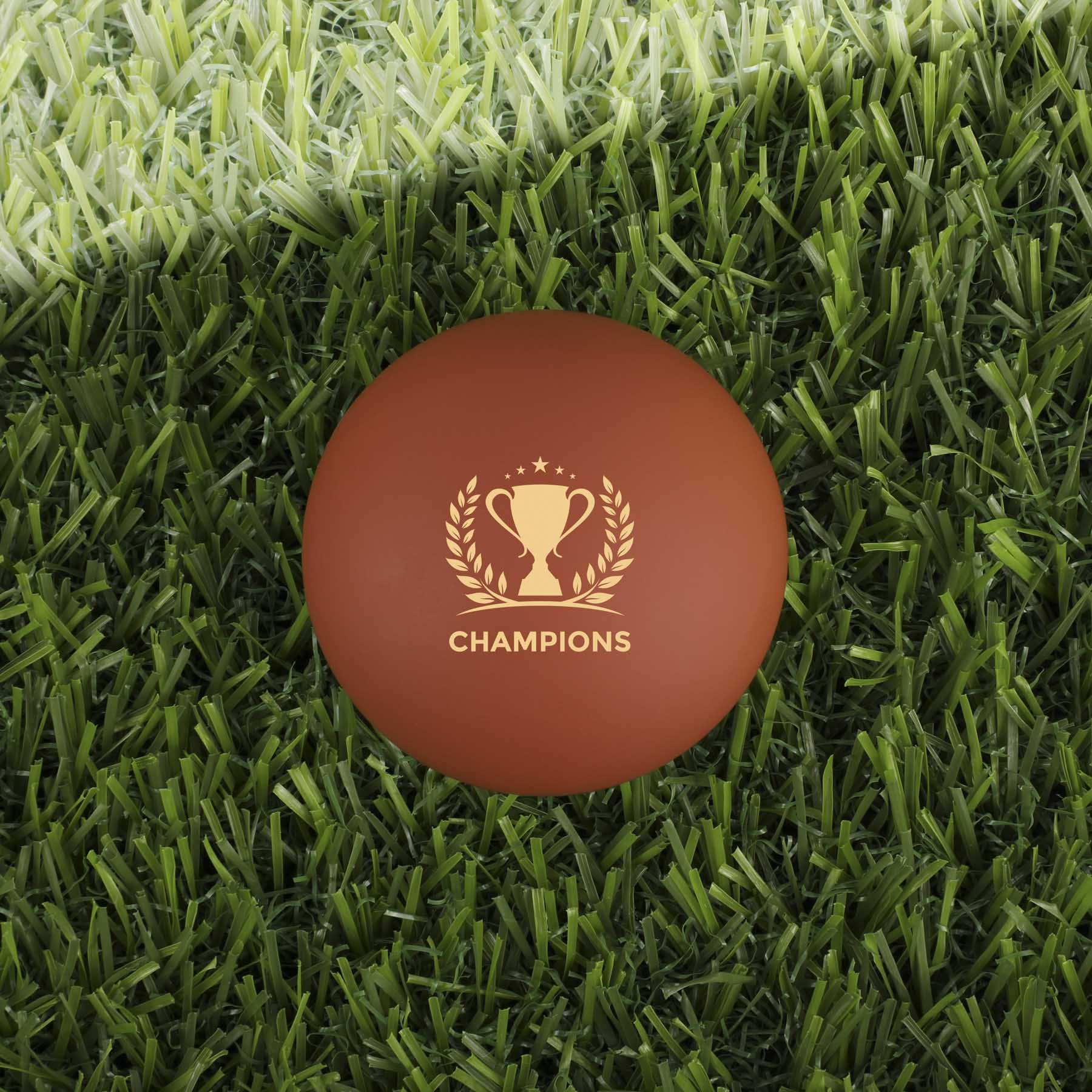 Picture of Pro Football Massager