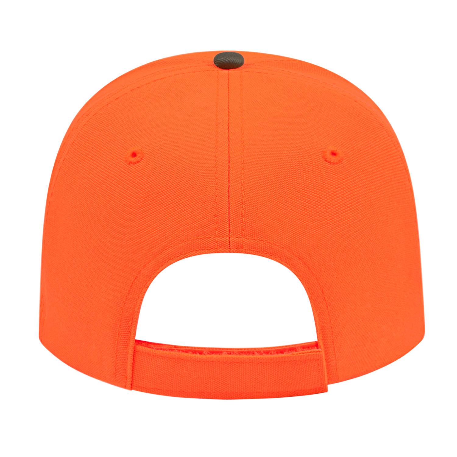 Picture of Blaze With Brown Visor Cap