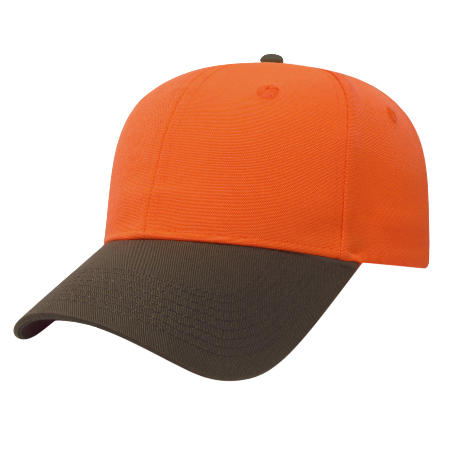Picture of Blaze With Brown Visor Cap