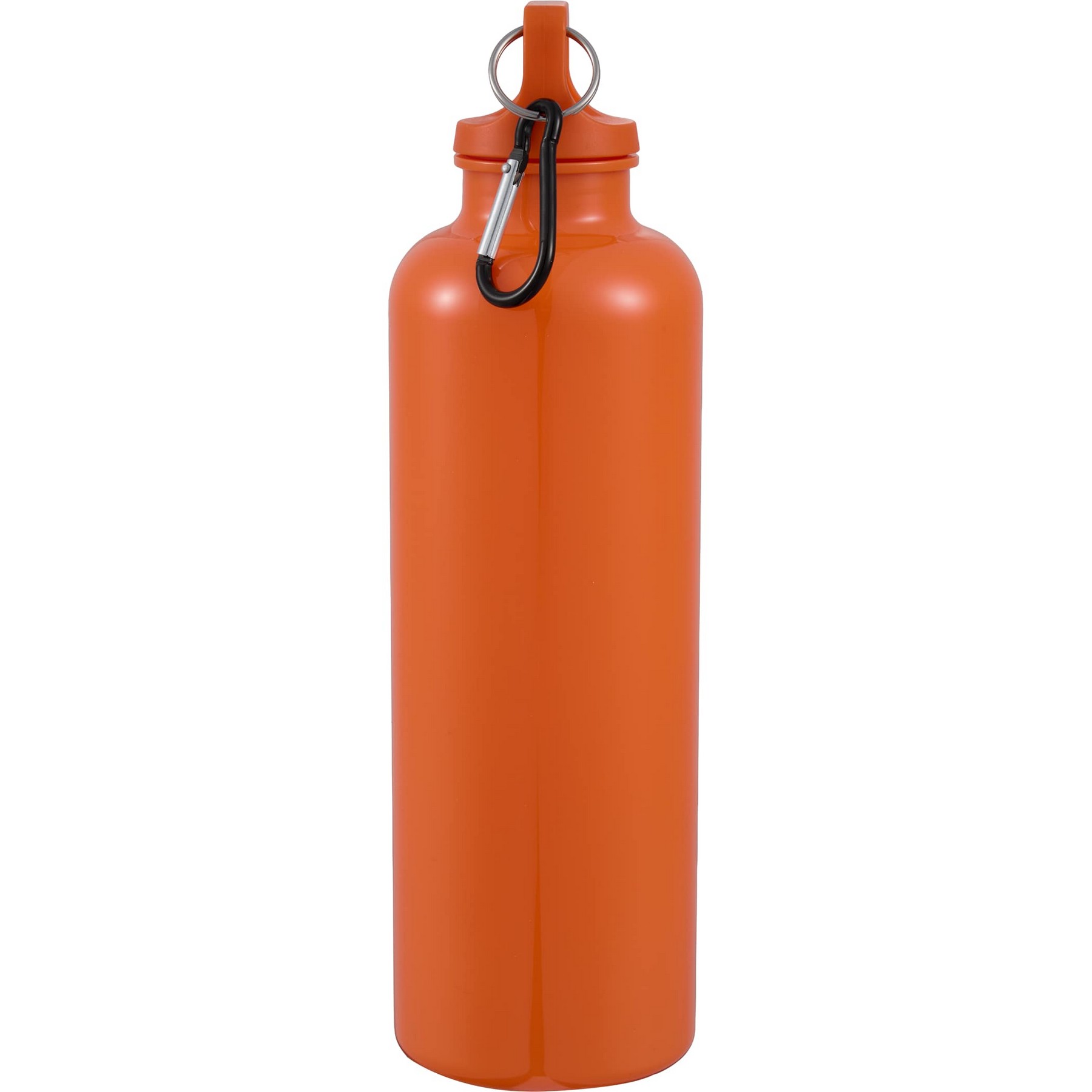 Picture of 25 Oz. Race Recycled Bottle with Carabiner Clip