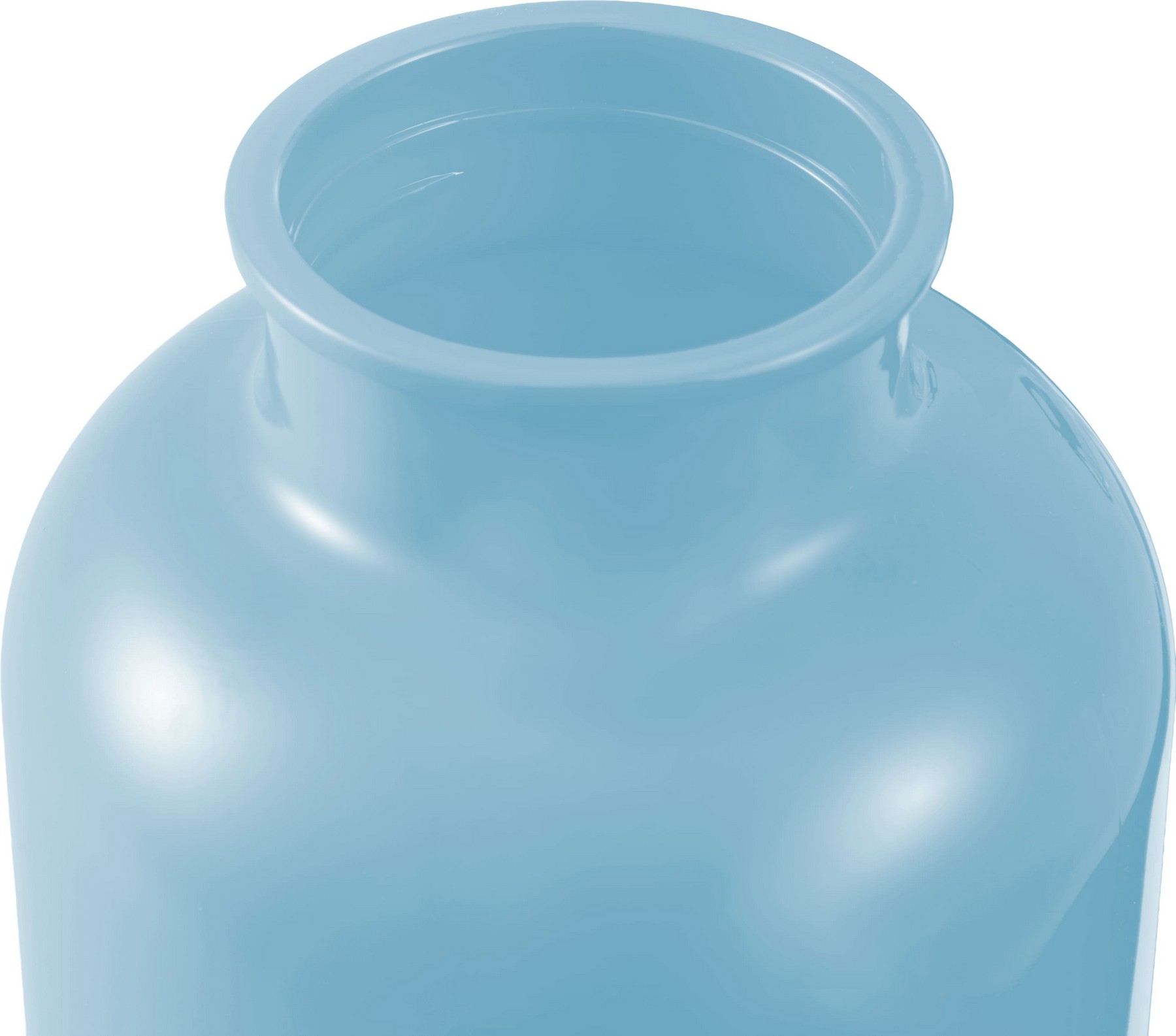 Picture of 25 Oz. Race Recycled Bottle with Carabiner Clip