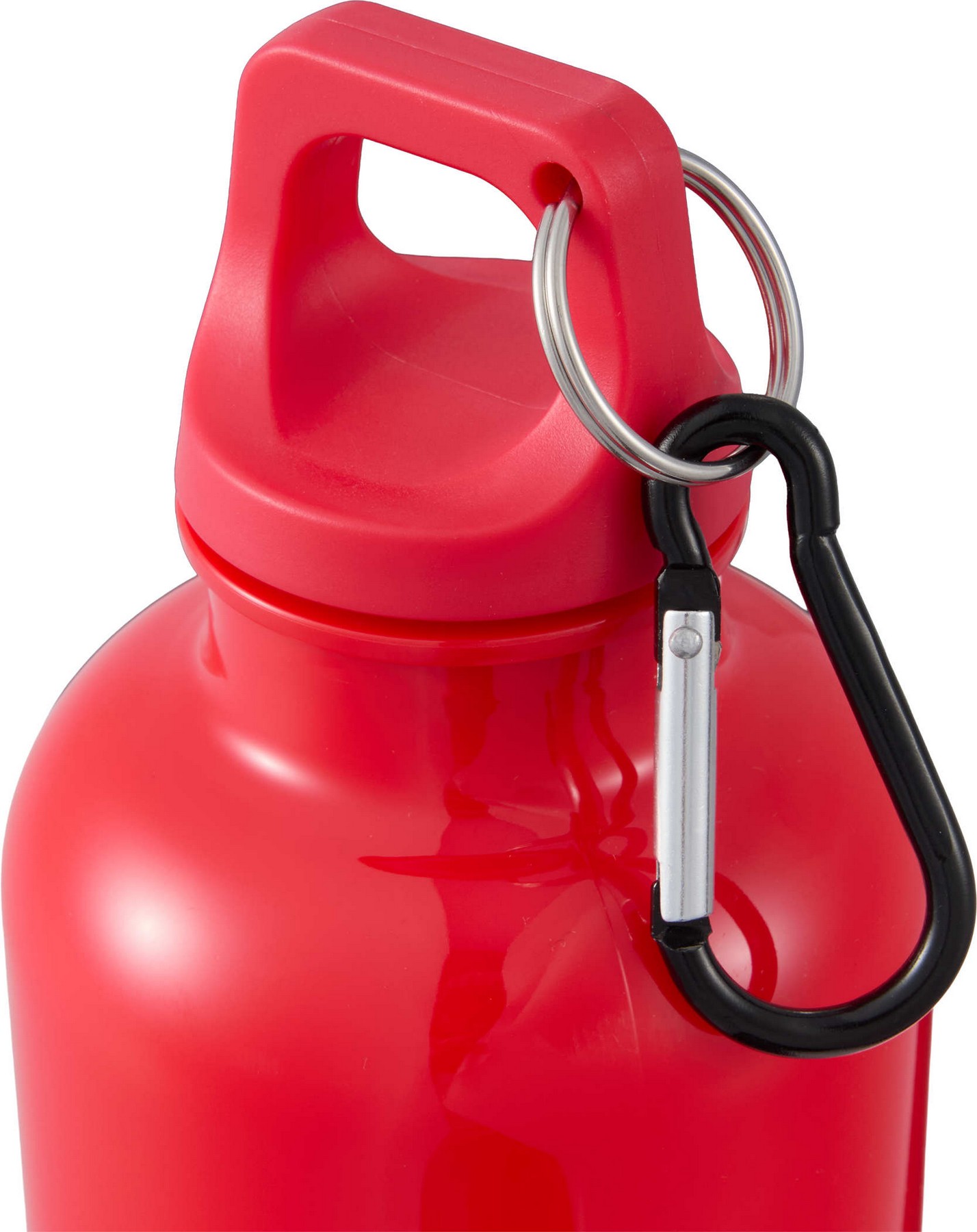 Picture of 25 Oz. Race Recycled Bottle with Carabiner Clip