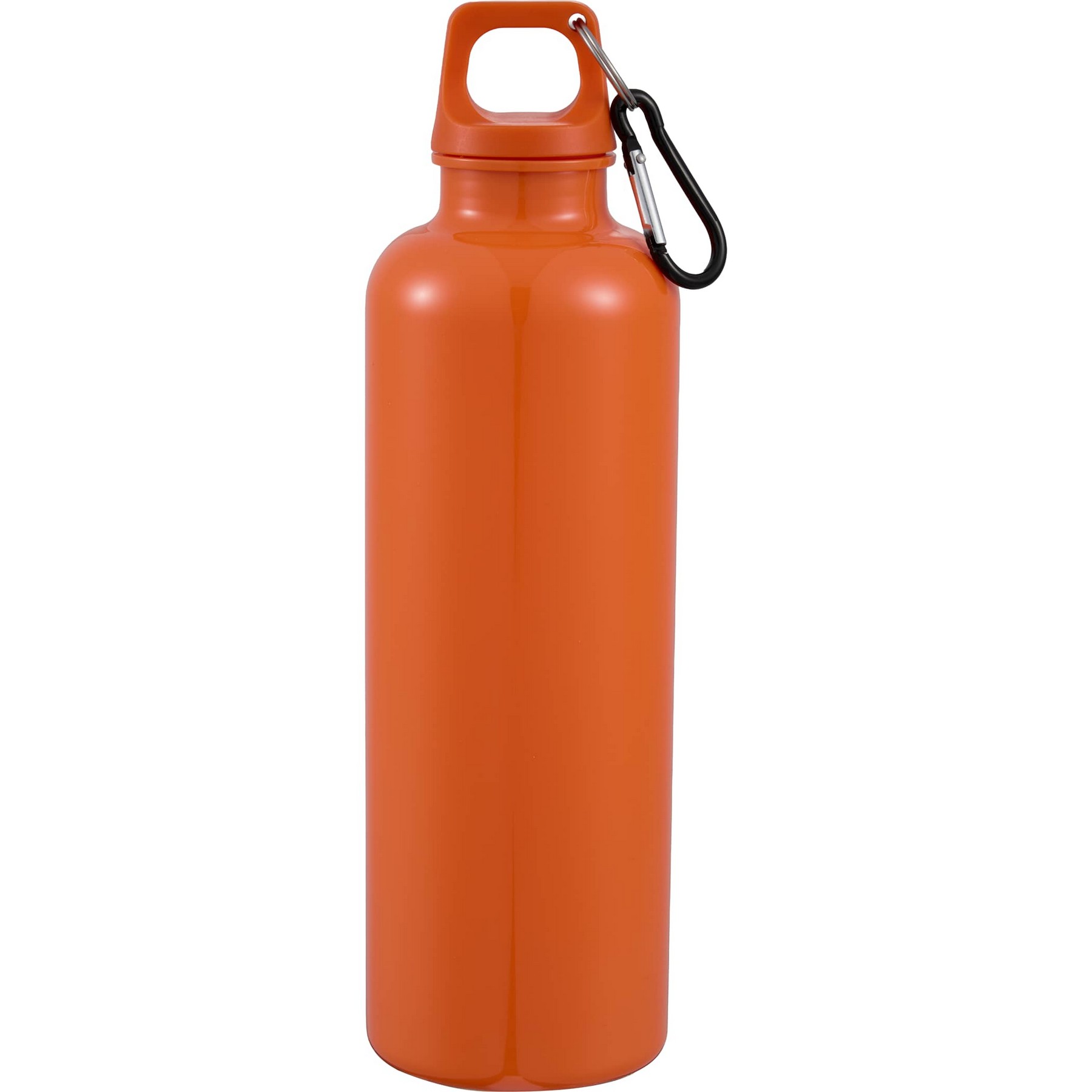 Picture of 25 Oz. Race Recycled Bottle with Carabiner Clip
