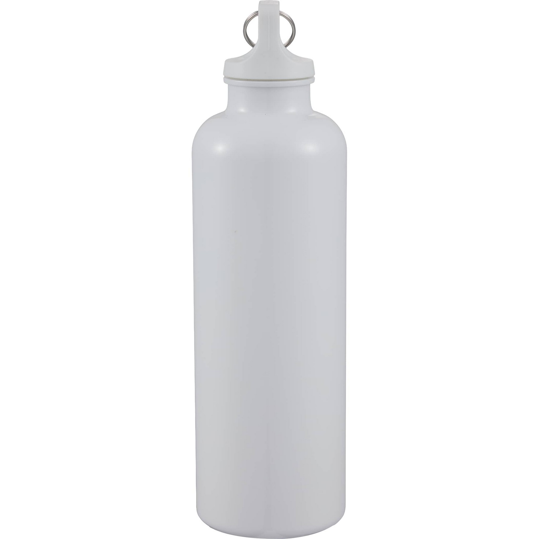 Picture of 25 Oz. Race Recycled Bottle with Carabiner Clip