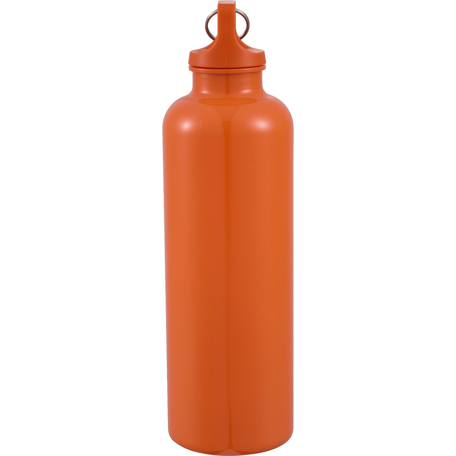 Picture of 25 Oz. Race Recycled Bottle with Carabiner Clip