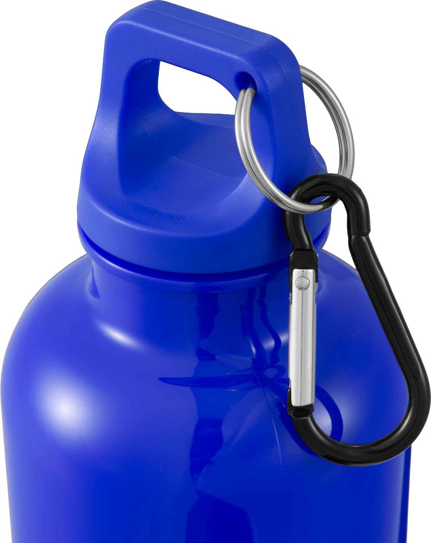 Picture of 25 Oz. Race Recycled Bottle with Carabiner Clip