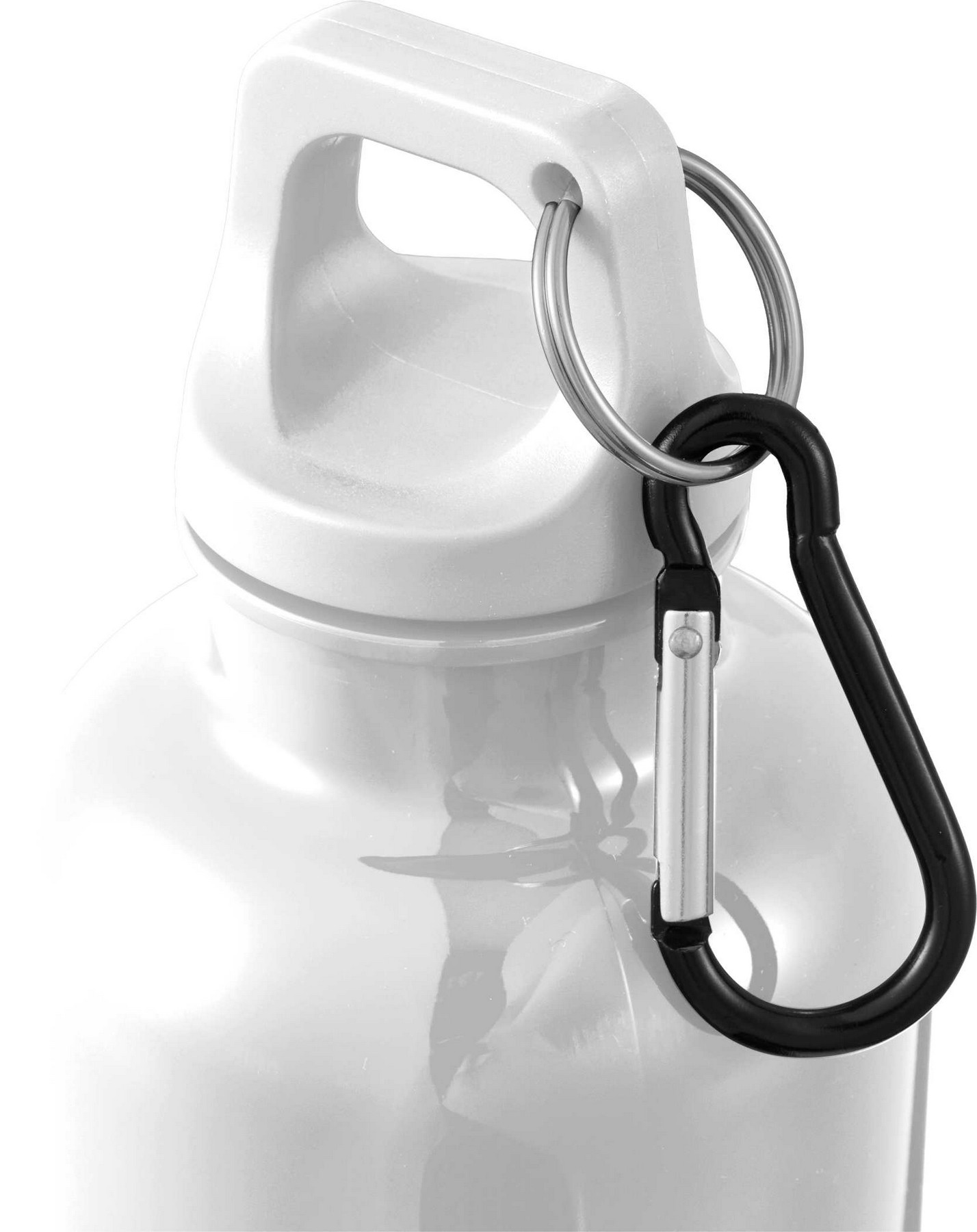 Picture of 25 Oz. Race Recycled Bottle with Carabiner Clip