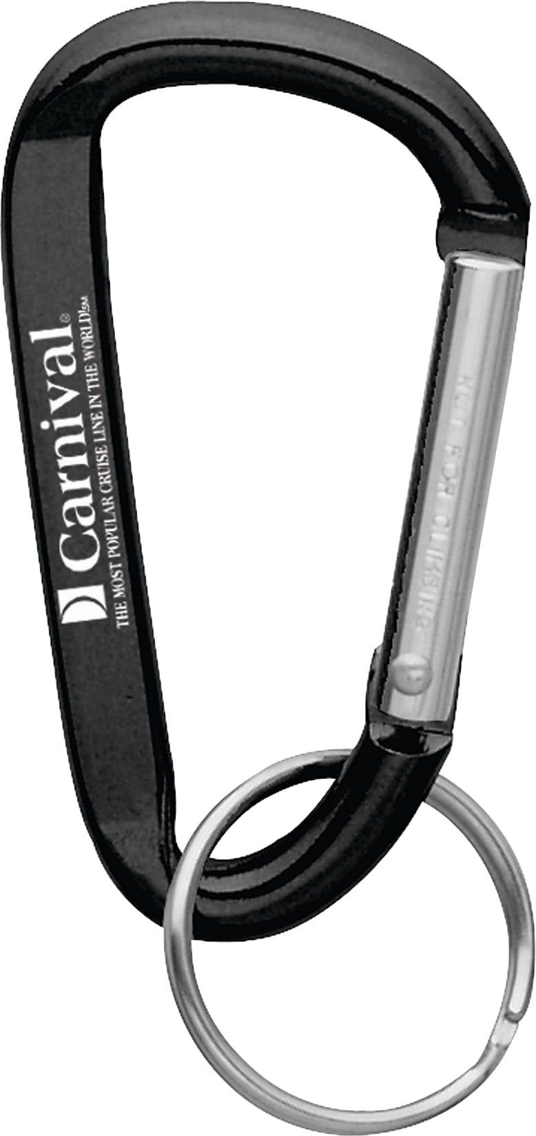 Picture of Small Carabiner Key Ring