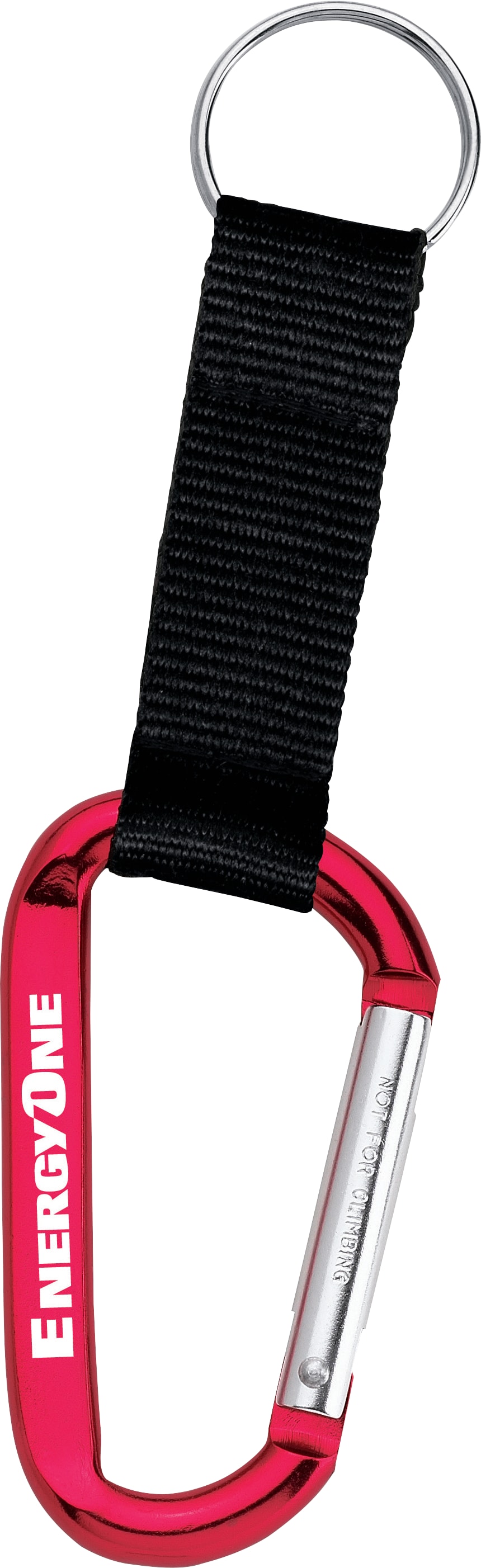 Picture of Large Carabiner Key Ring