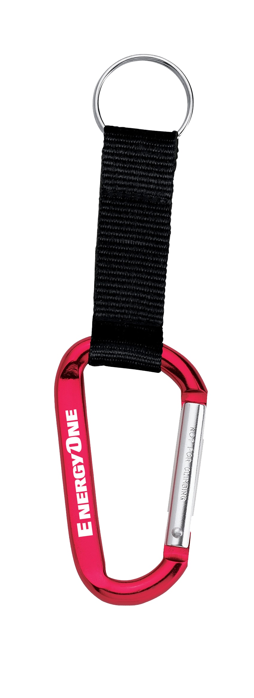 Picture of Large Carabiner Key Ring