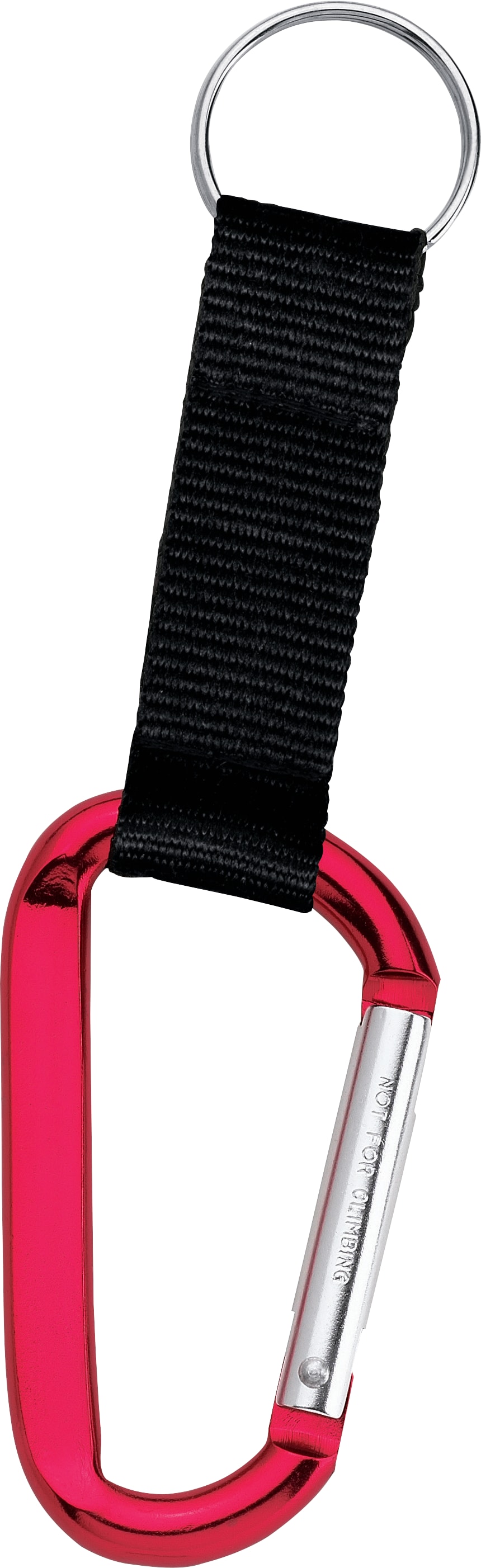 Picture of Large Carabiner Key Ring