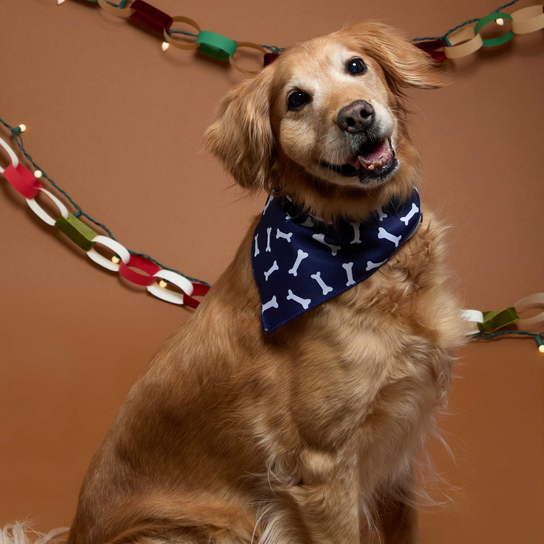 Picture of Paws & Claws Pet Bandana