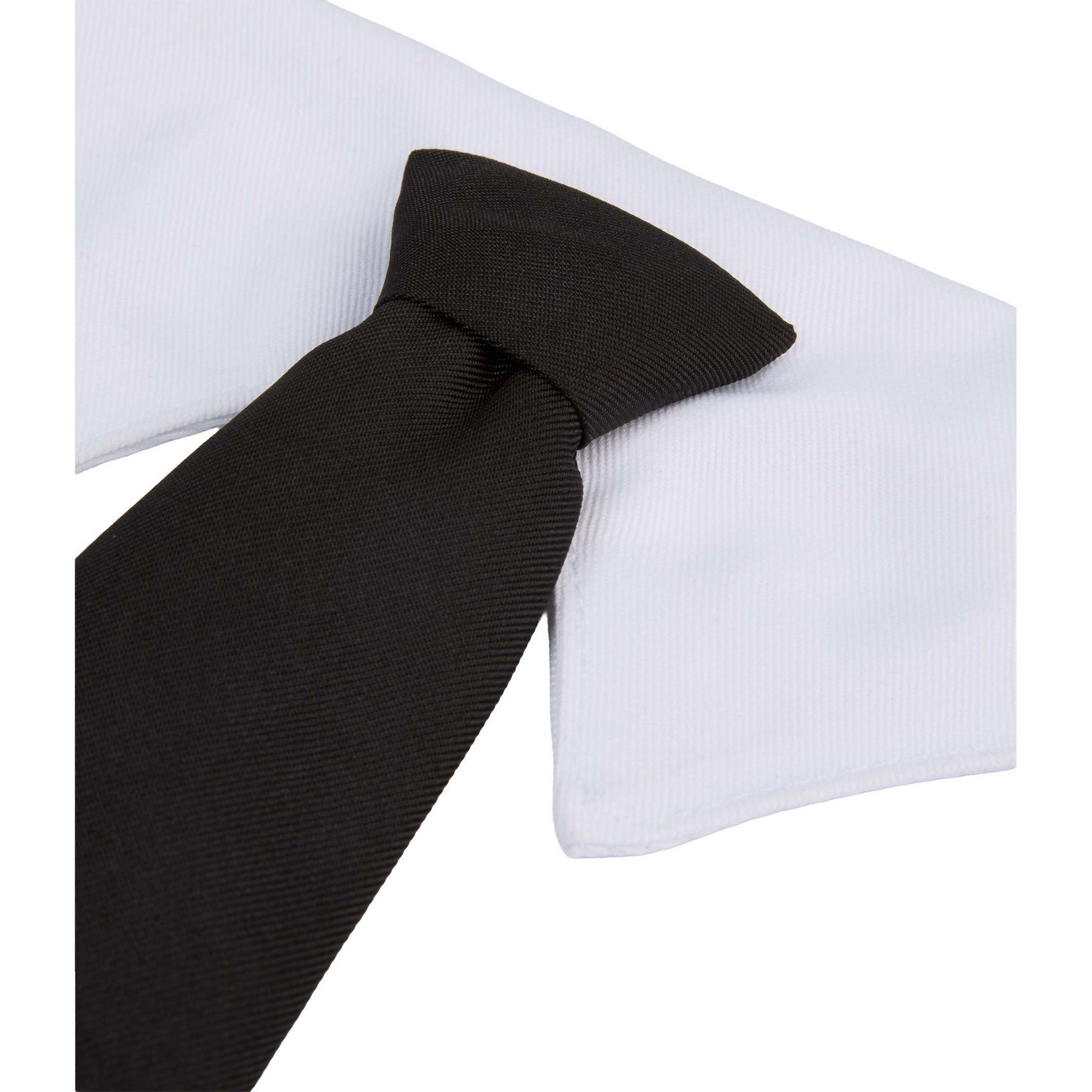 Picture of Paws & Claws Pet Neck Tie Collar