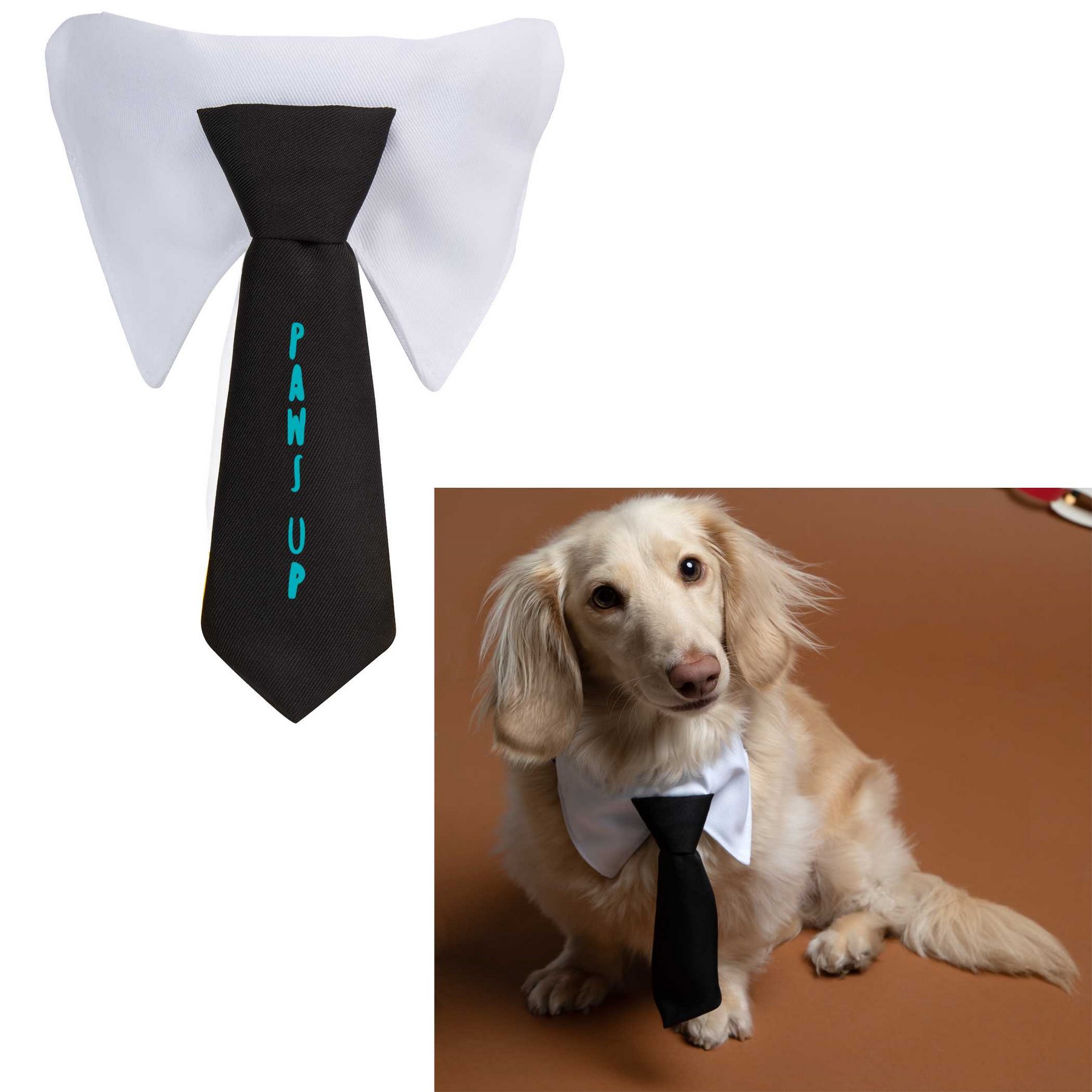 Picture of Paws & Claws Pet Neck Tie Collar