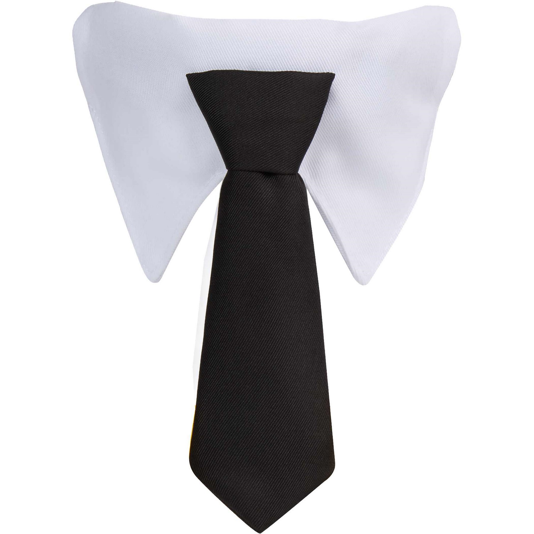 Picture of Paws & Claws Pet Neck Tie Collar
