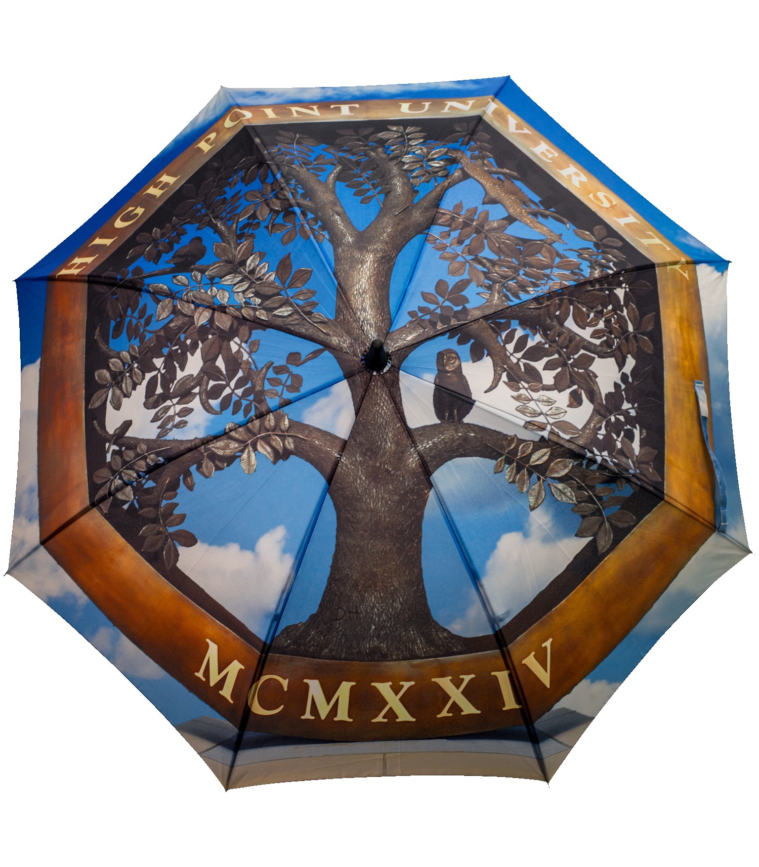 Picture of Full Color Fashion Umbrella
