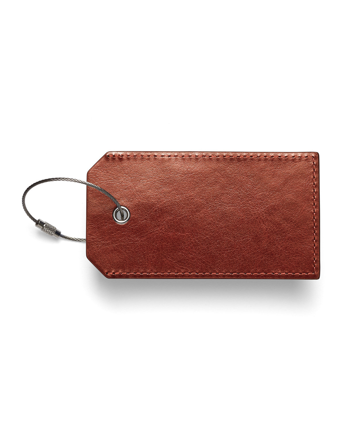 Picture of Venezia Sightseer Luggage Tag.