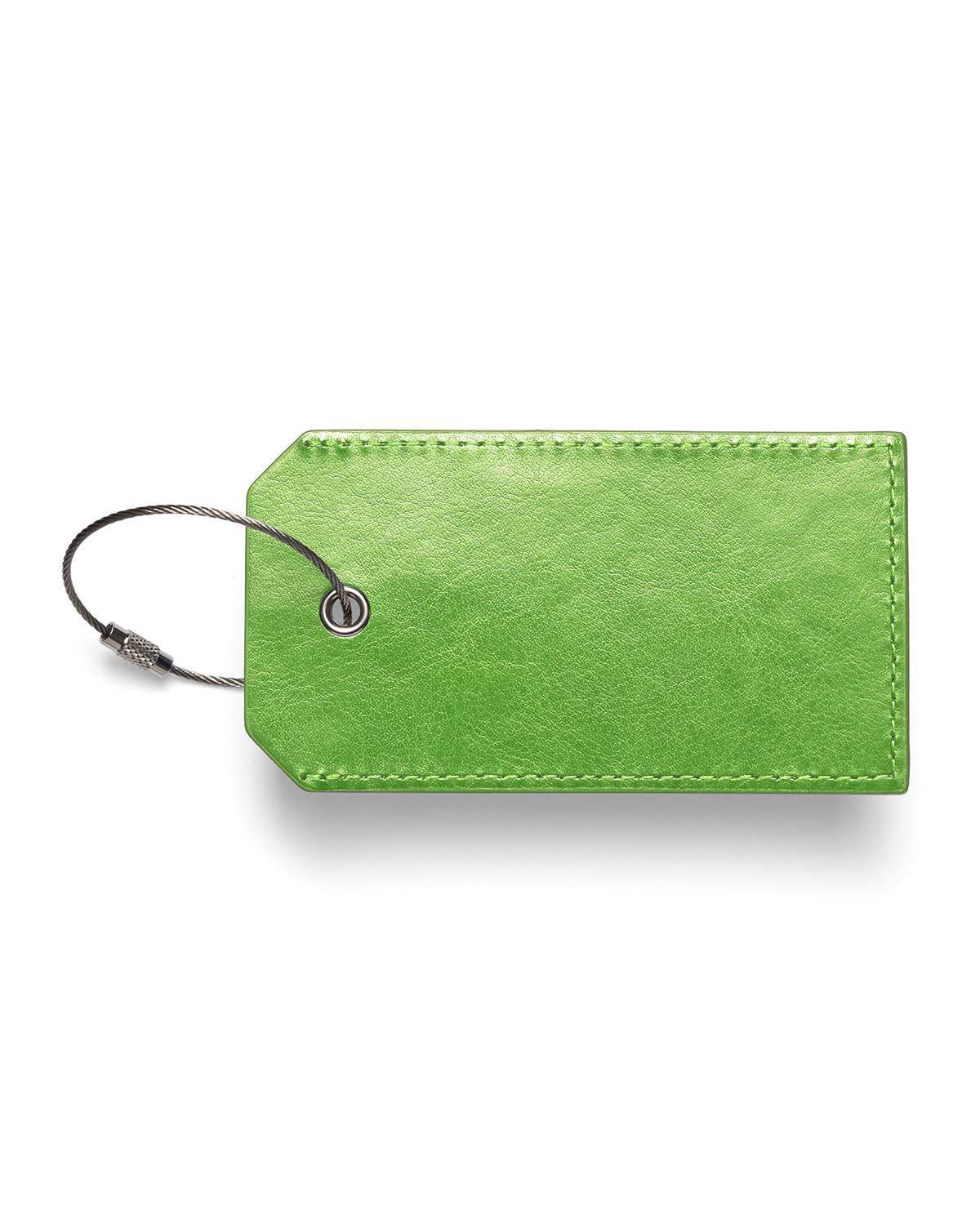 Picture of Venezia Sightseer Luggage Tag.