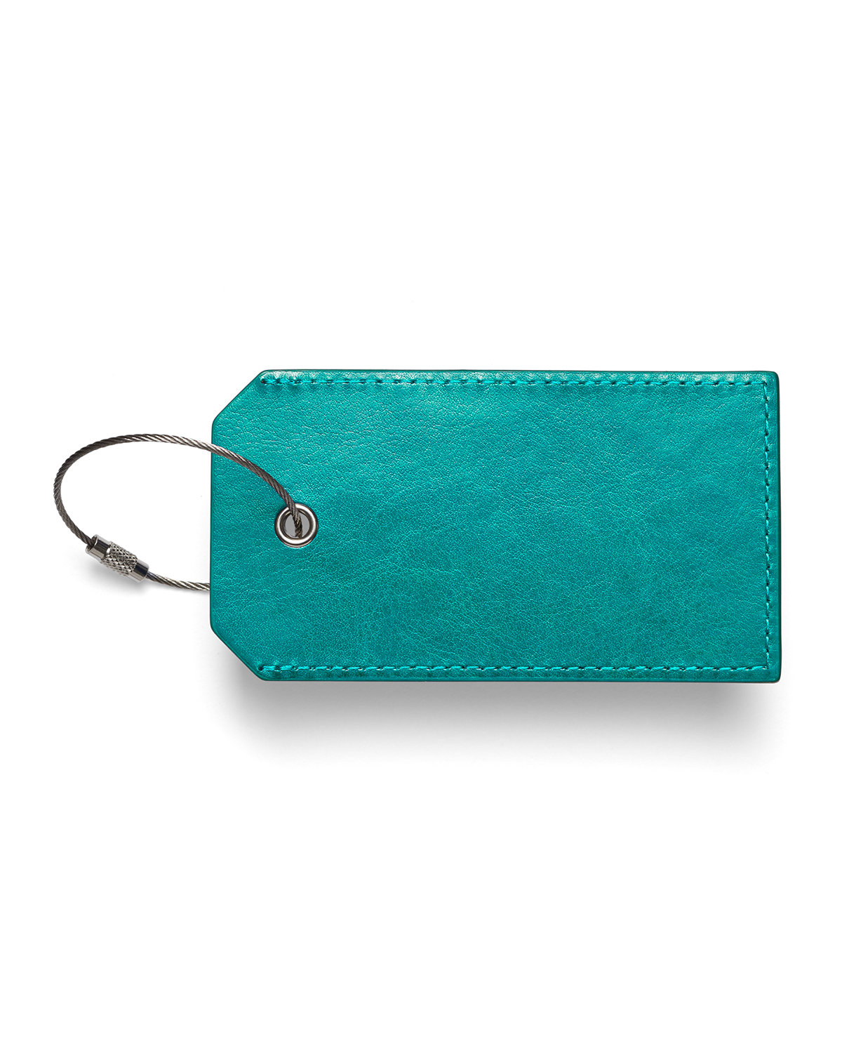 Picture of Venezia Sightseer Luggage Tag.