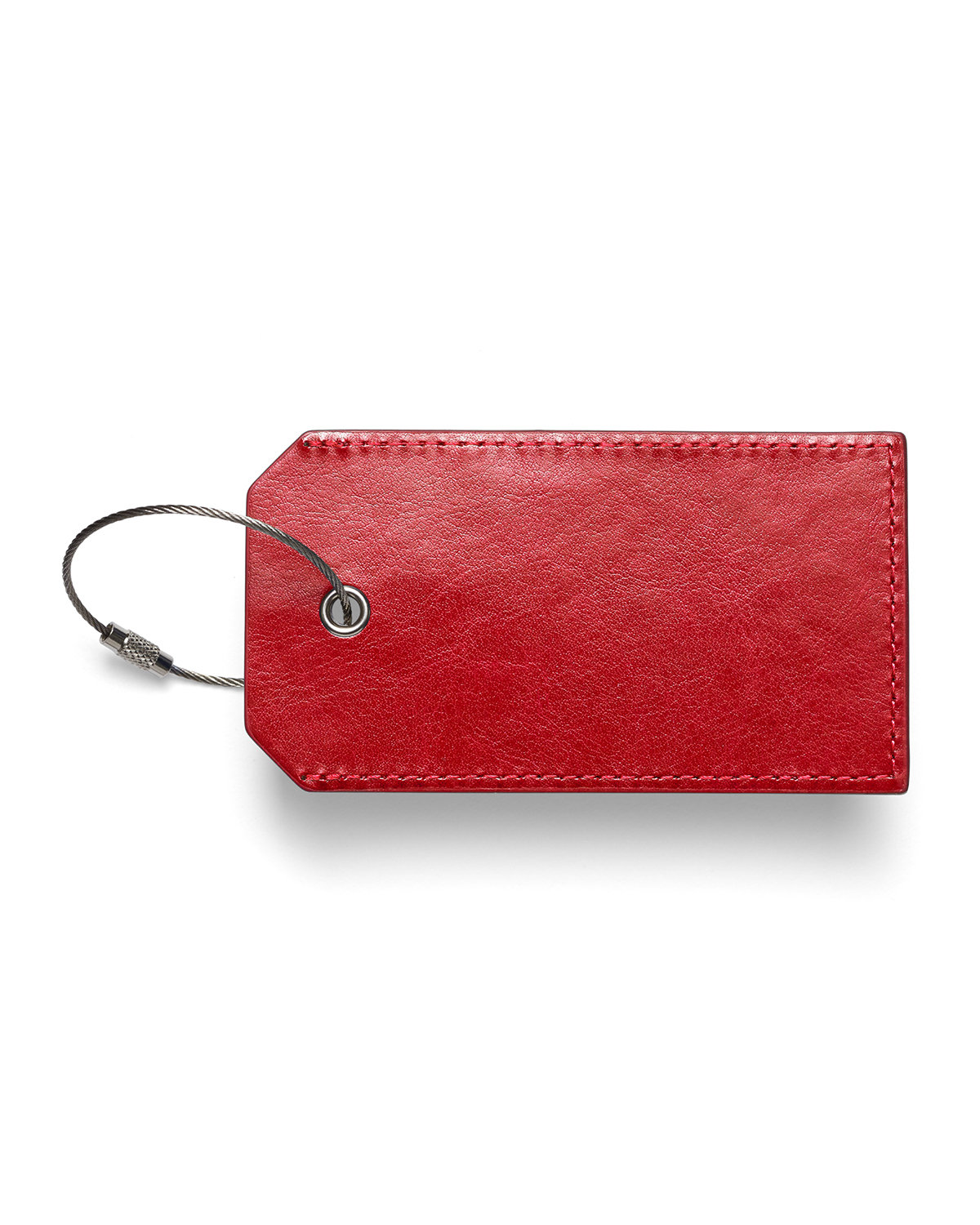 Picture of Venezia Sightseer Luggage Tag.