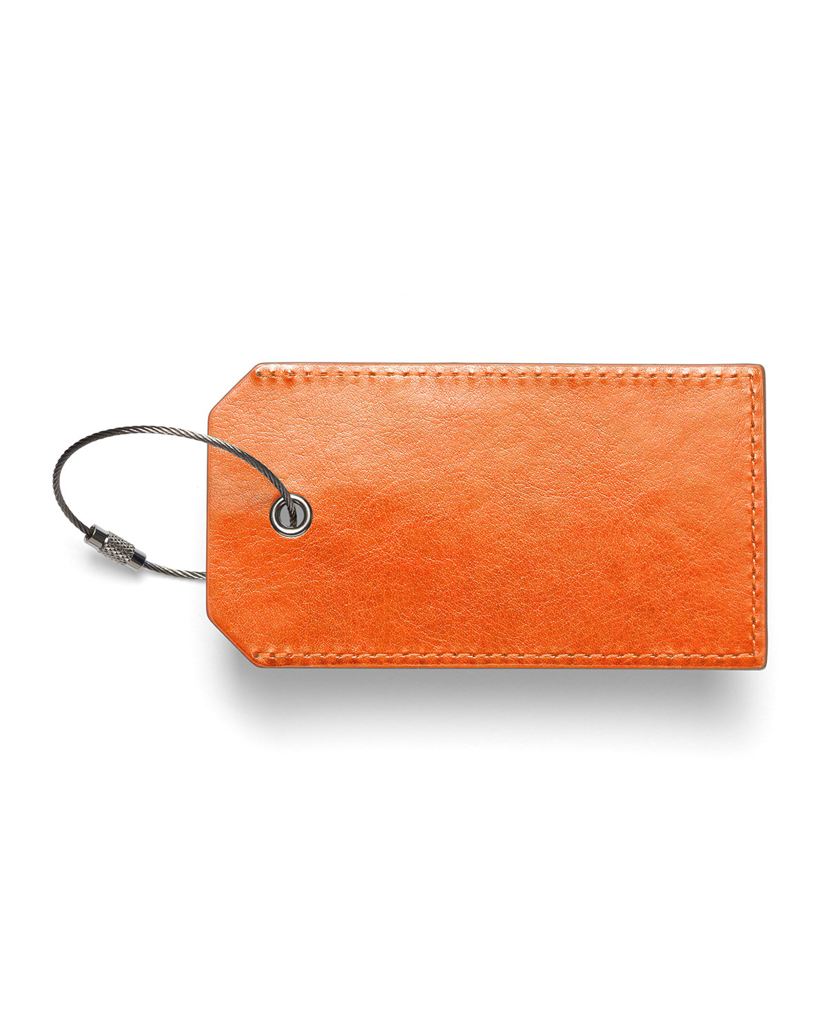 Picture of Venezia Sightseer Luggage Tag.