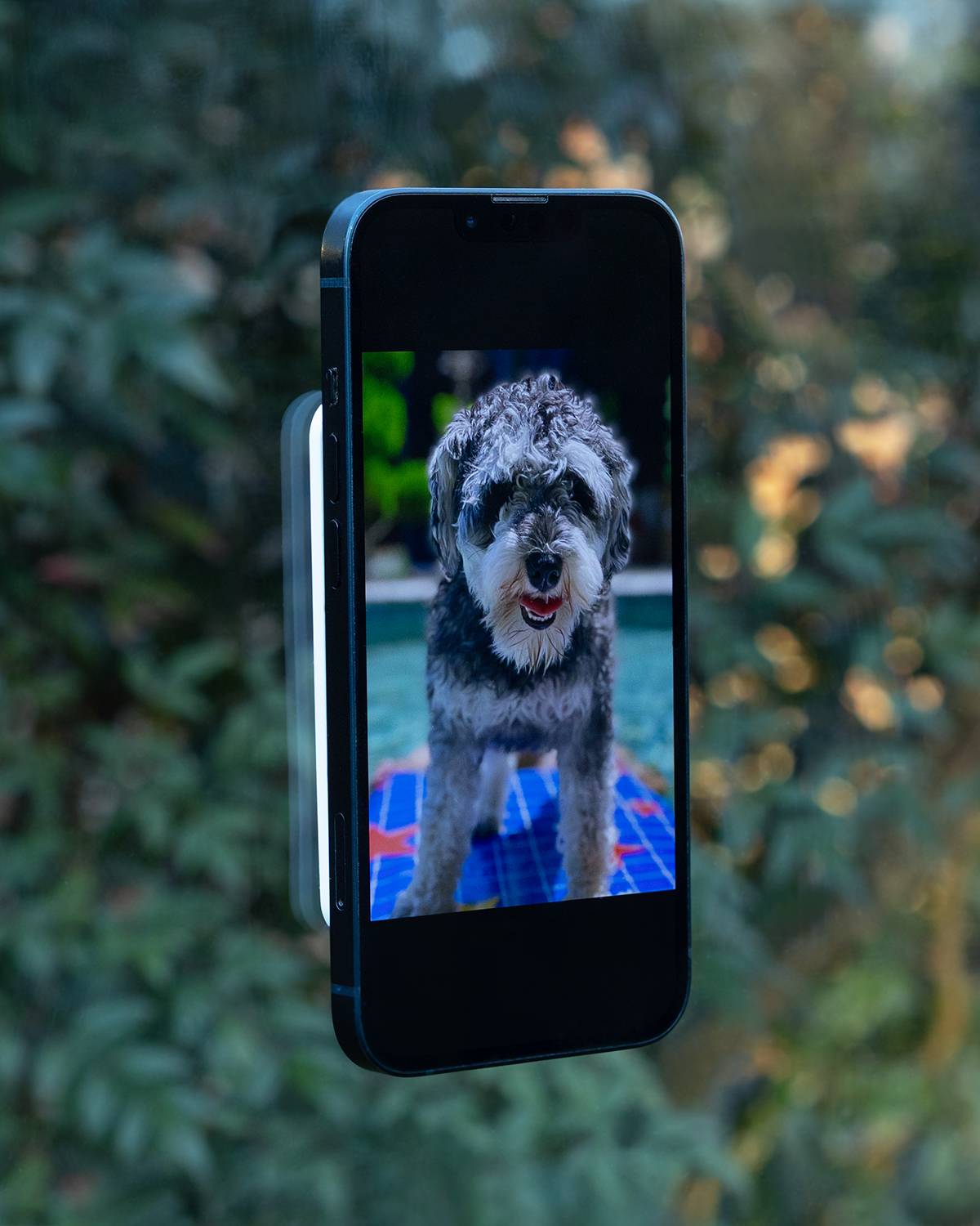 Picture of Magnetic Recycled Silicone Suction Phone Mount.
