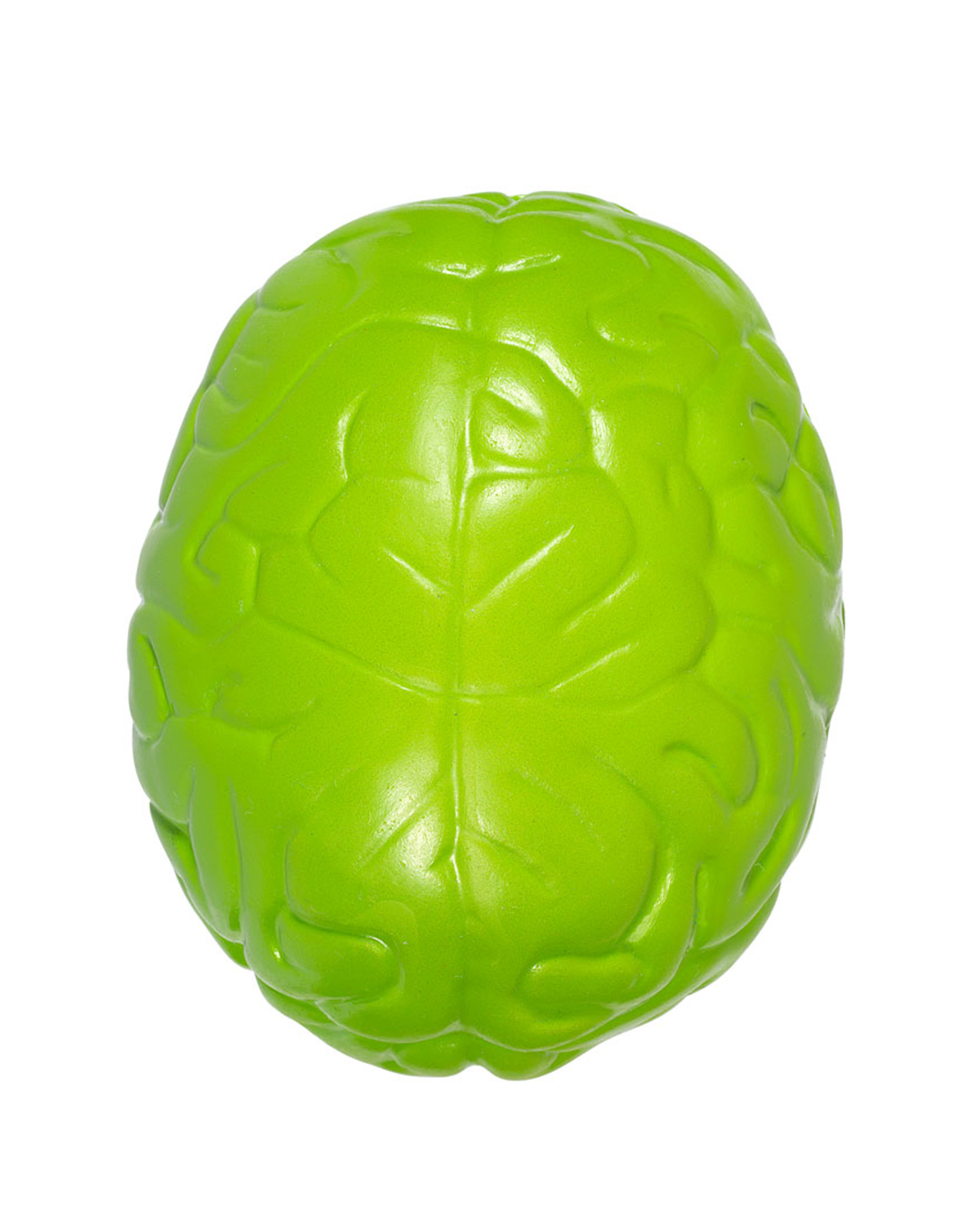 Picture of Brain Shape Stress Ball.