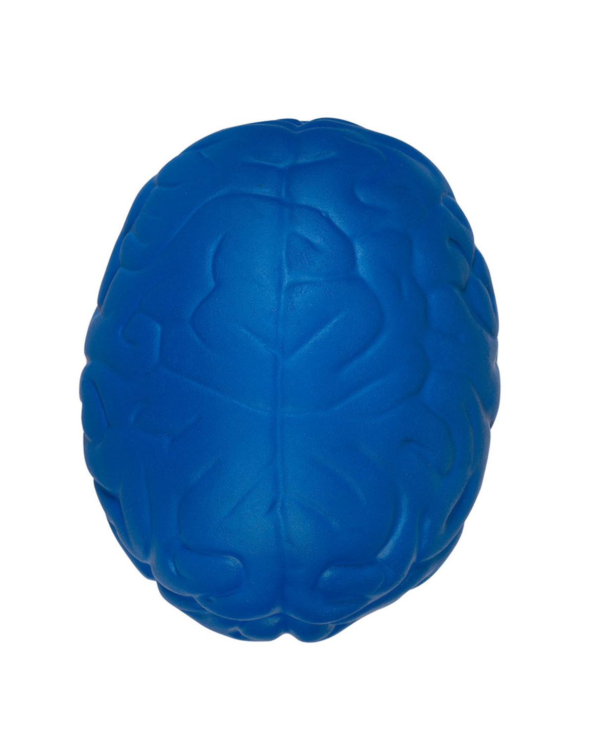 Picture of Brain Shape Stress Ball.