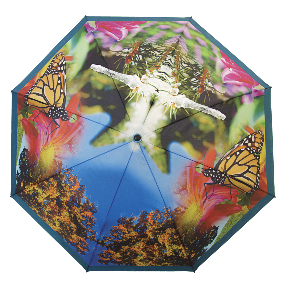 Picture of Full-Color Canopy Printing - Single Canopy Folding