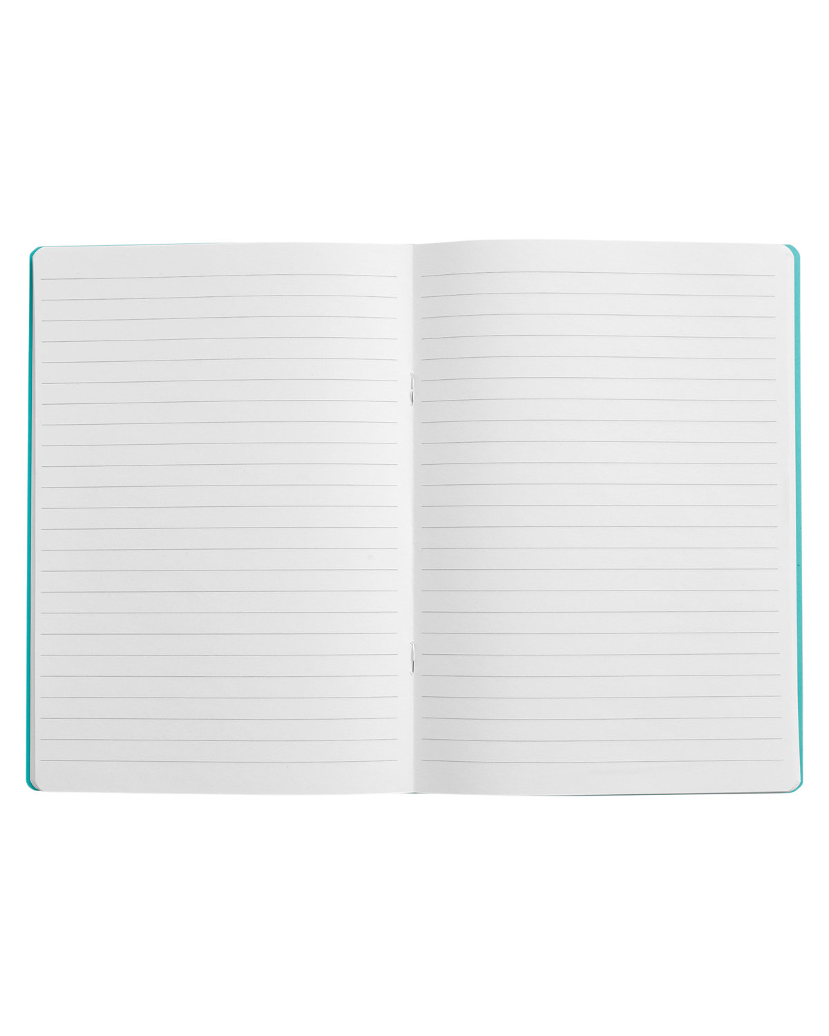 Picture of Prisma Recycled Paper Journal Notebook.