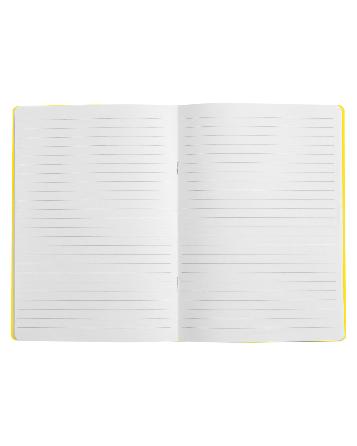 Picture of Prisma Recycled Paper Journal Notebook.
