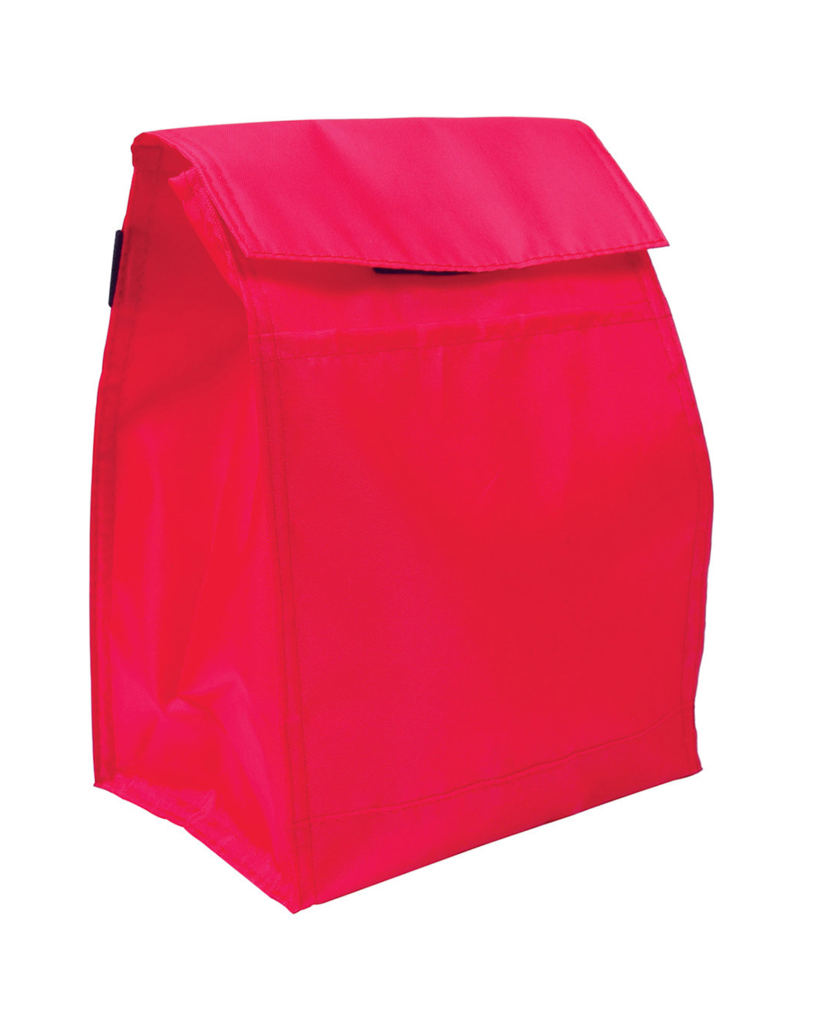 Picture of Budget Lunch Cooler Bag.