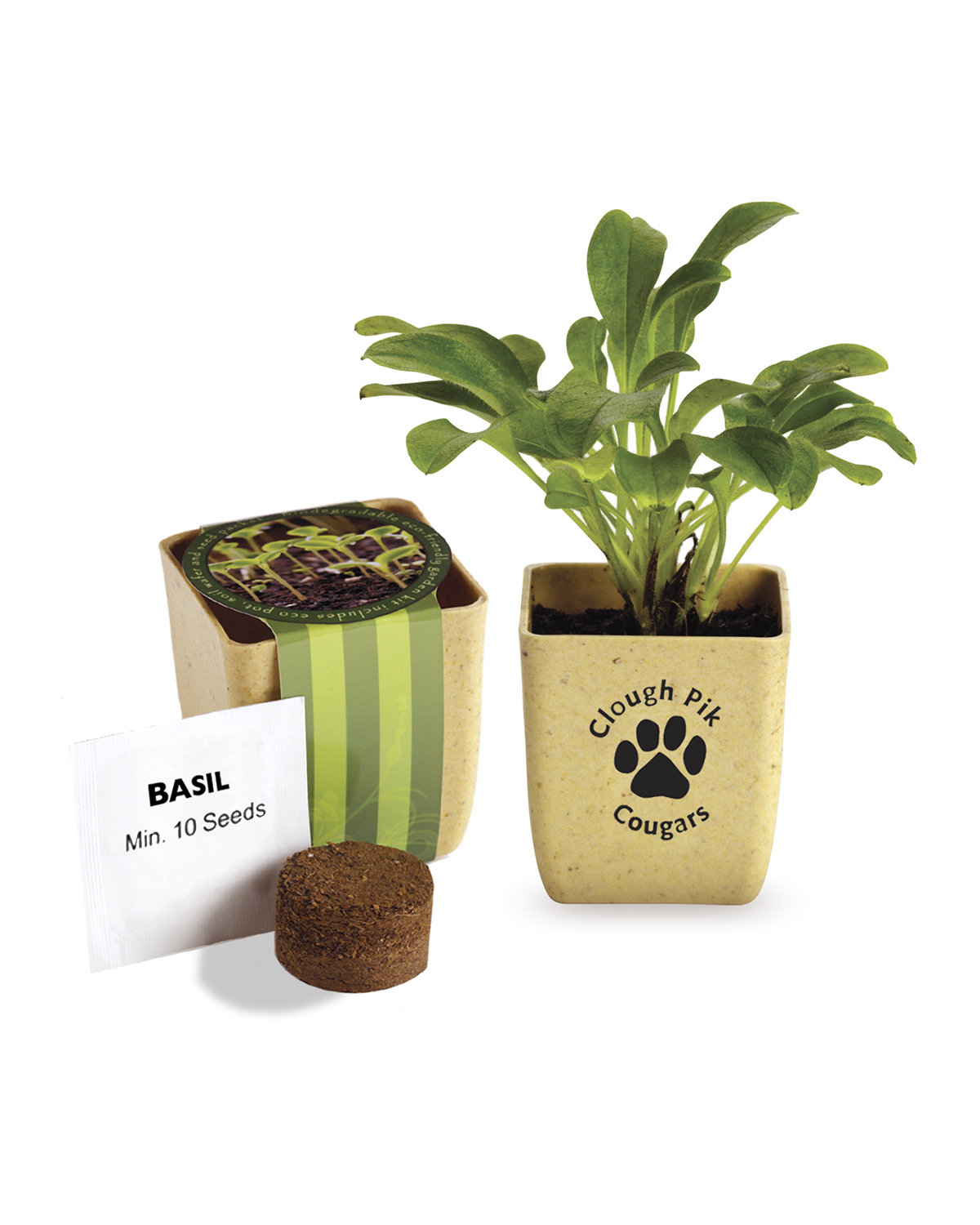 Picture of Flower Pot Set w/Basil Seeds