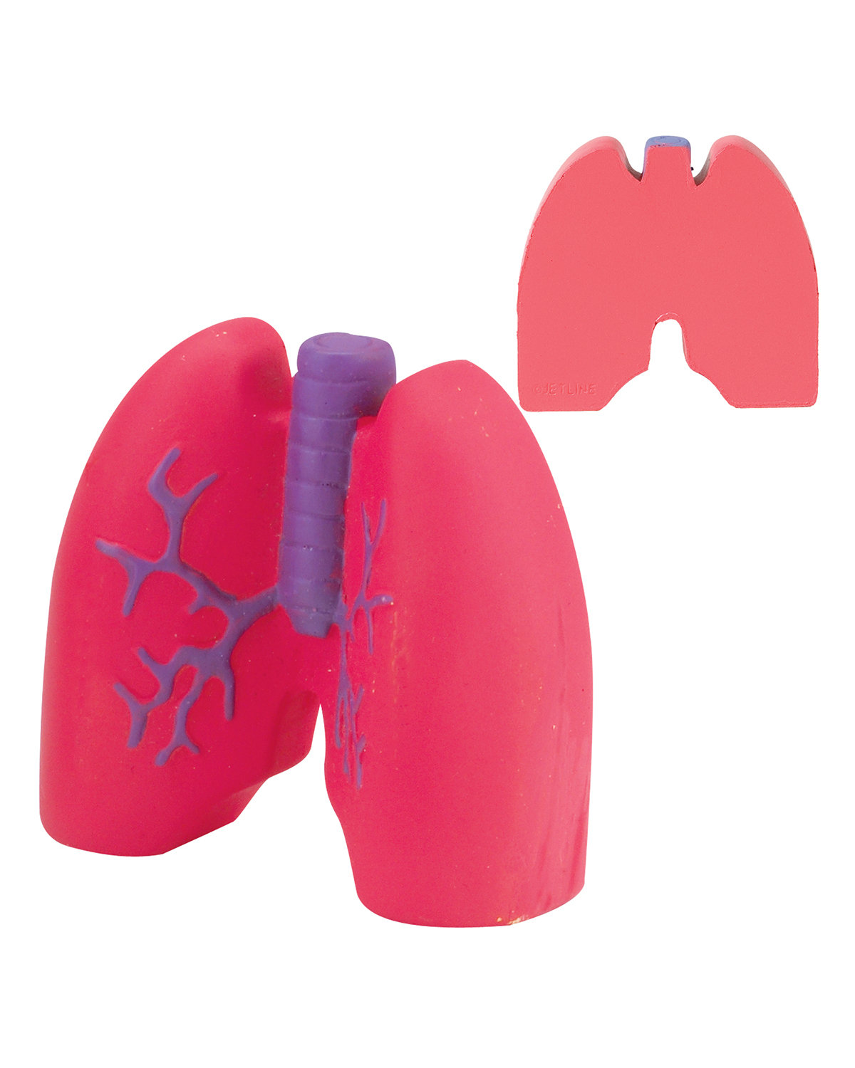 Picture of Lungs Shape Stress Ball.
